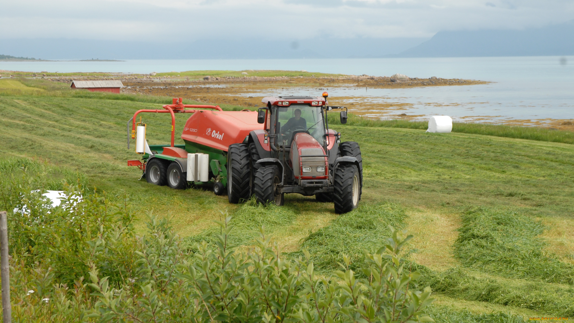 техника, тракторы, трактор