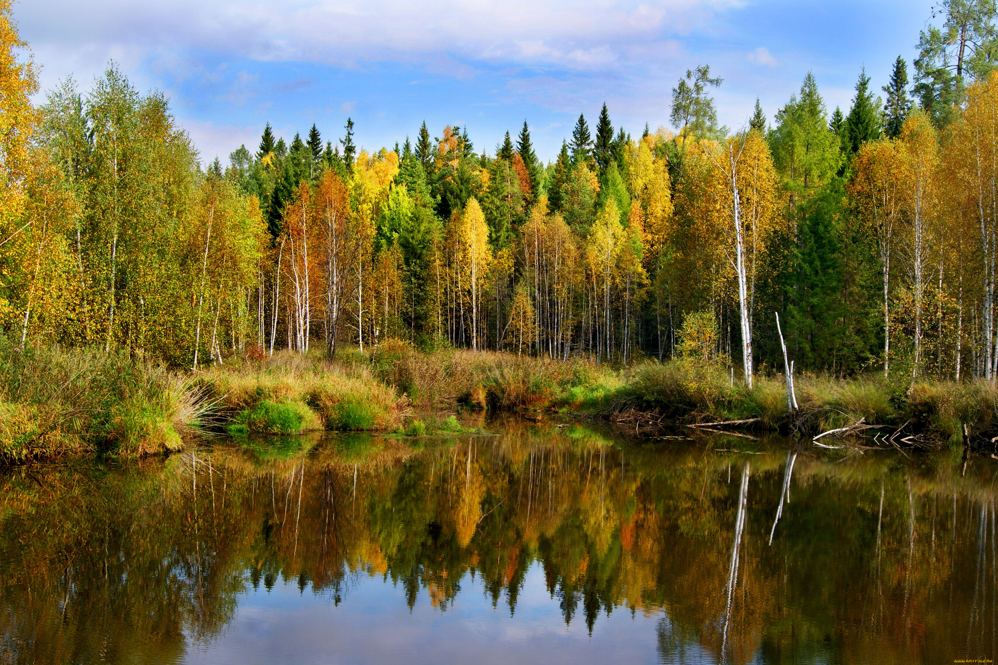 природа, реки, озера, осень