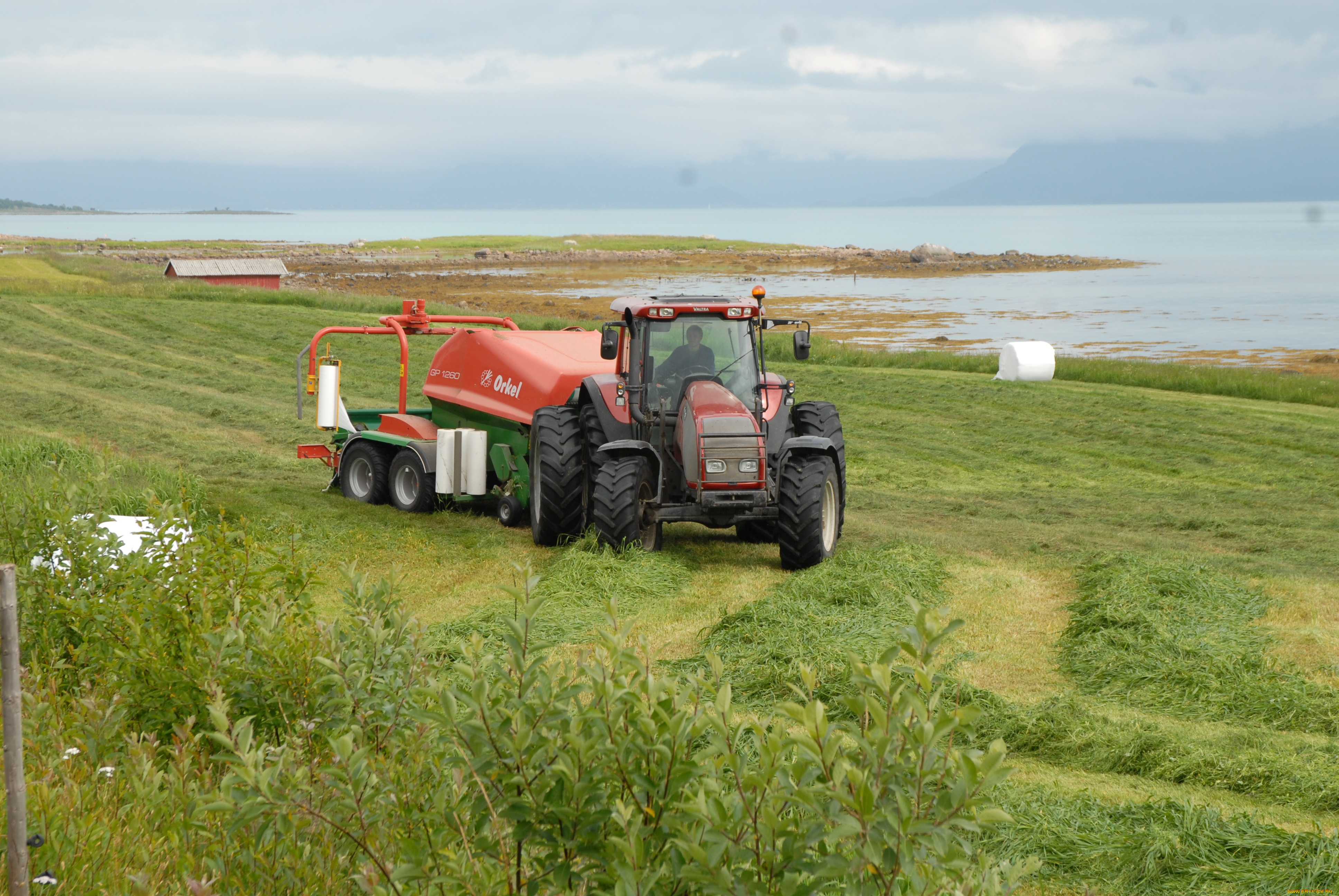 техника, тракторы, трактор