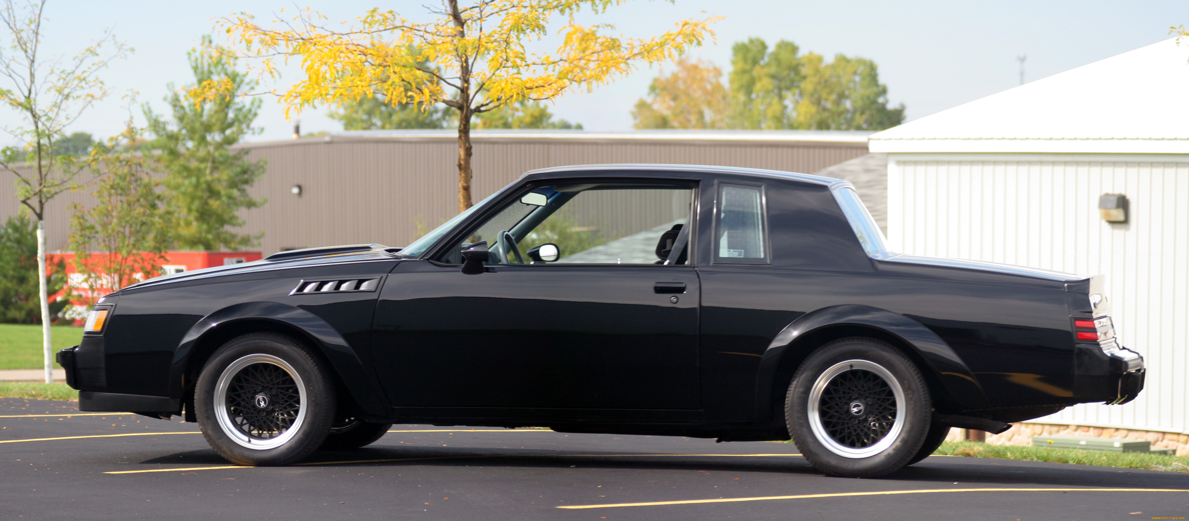 1987, buick, gnx, автомобили, красота, автомобиль, изящество