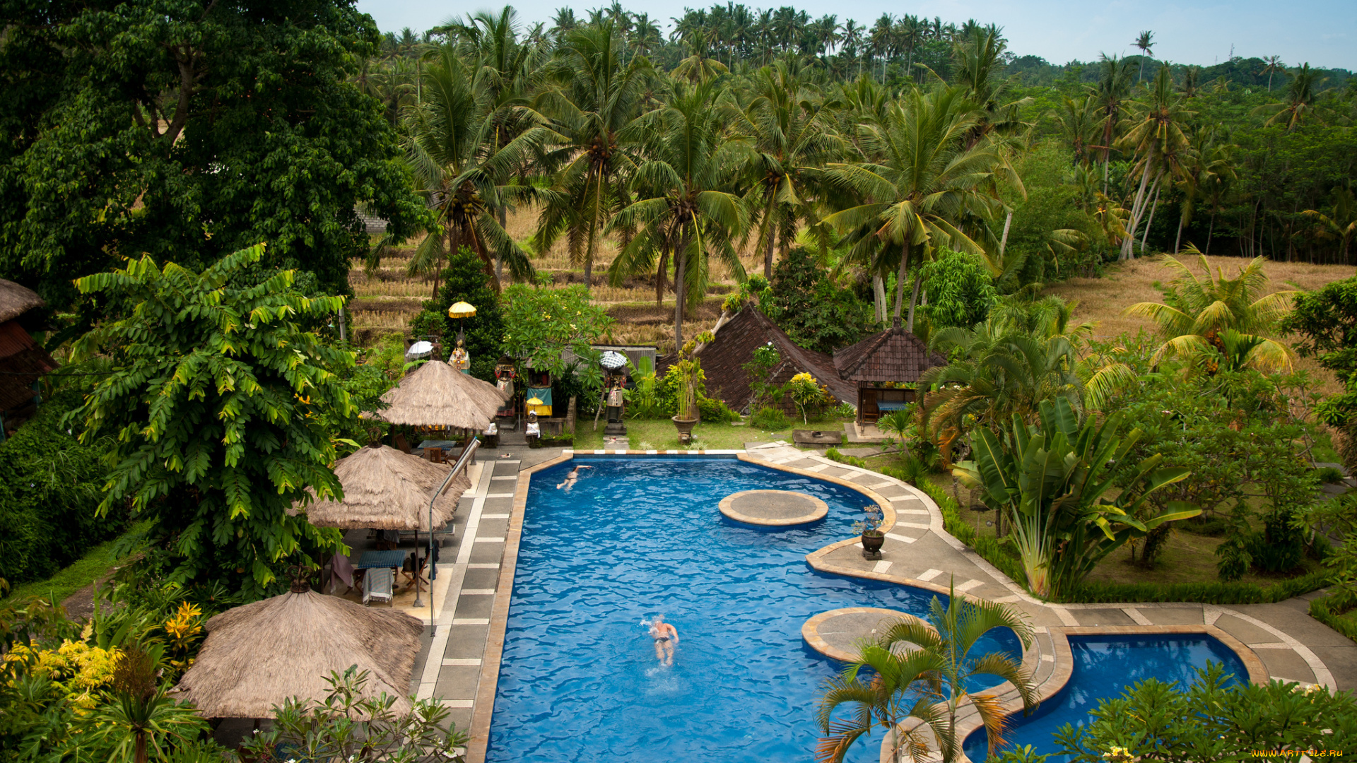 интерьер, бассейны, открытые, площадки, отдых, пальмы