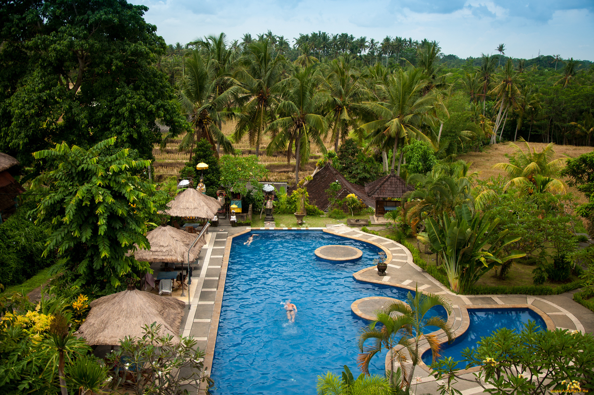 интерьер, бассейны, открытые, площадки, отдых, пальмы