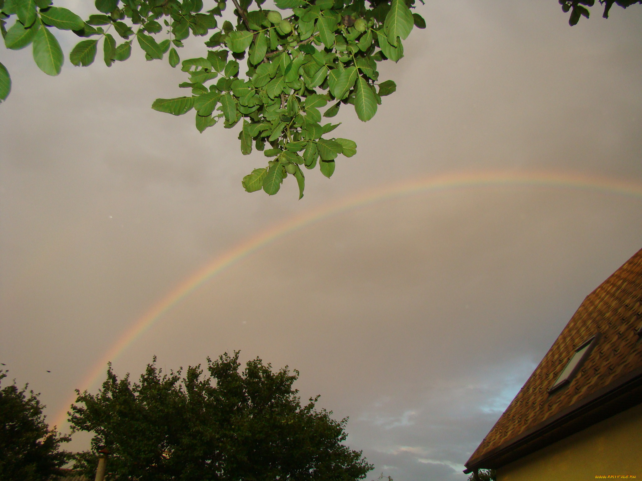 радуга, природа