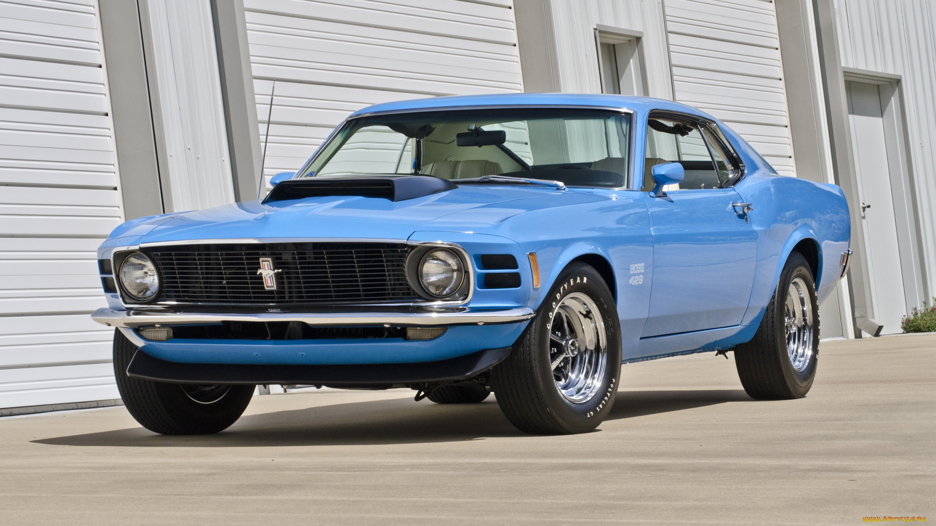 автомобили, mustang