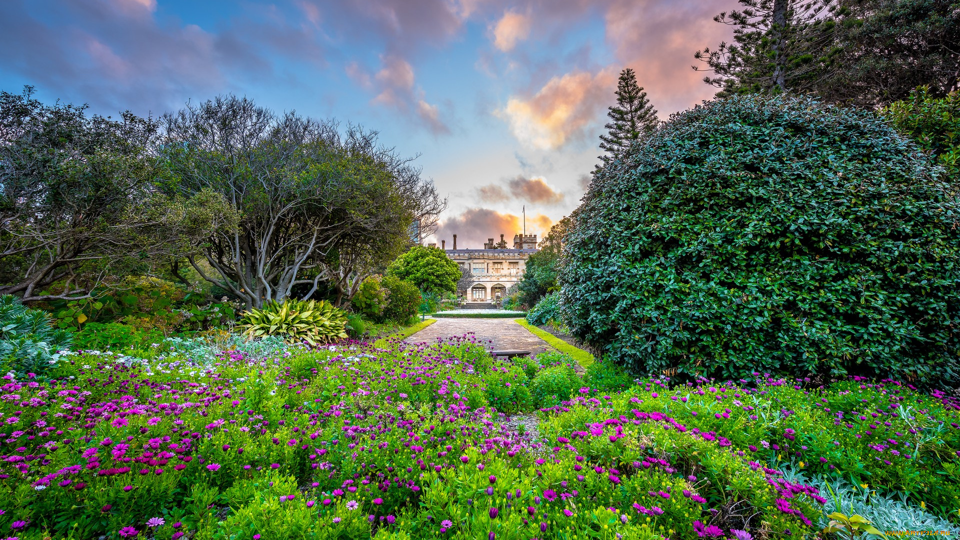 города, -, пейзажи, the, royal, botanic, gardens, sydney, government, house, здание, природа, сад