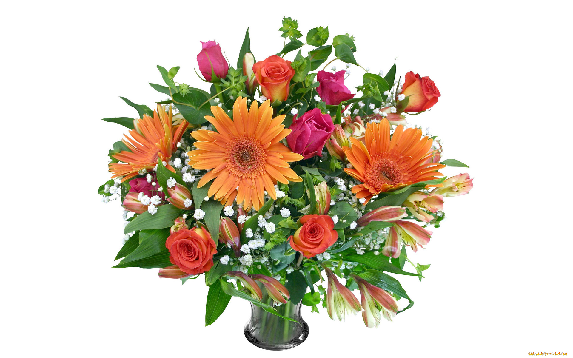 цветы, букеты, , композиции, бутоны