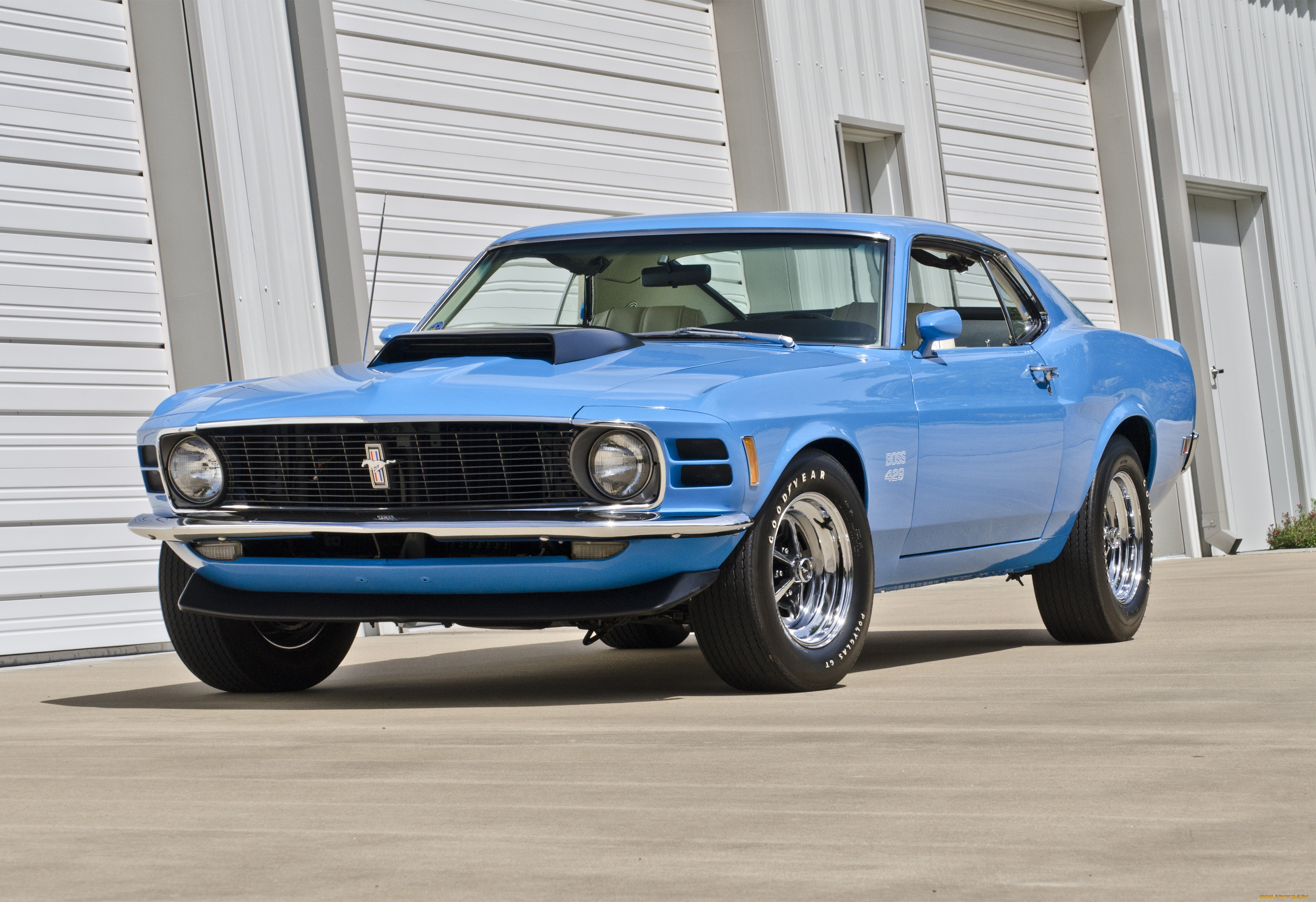 автомобили, mustang