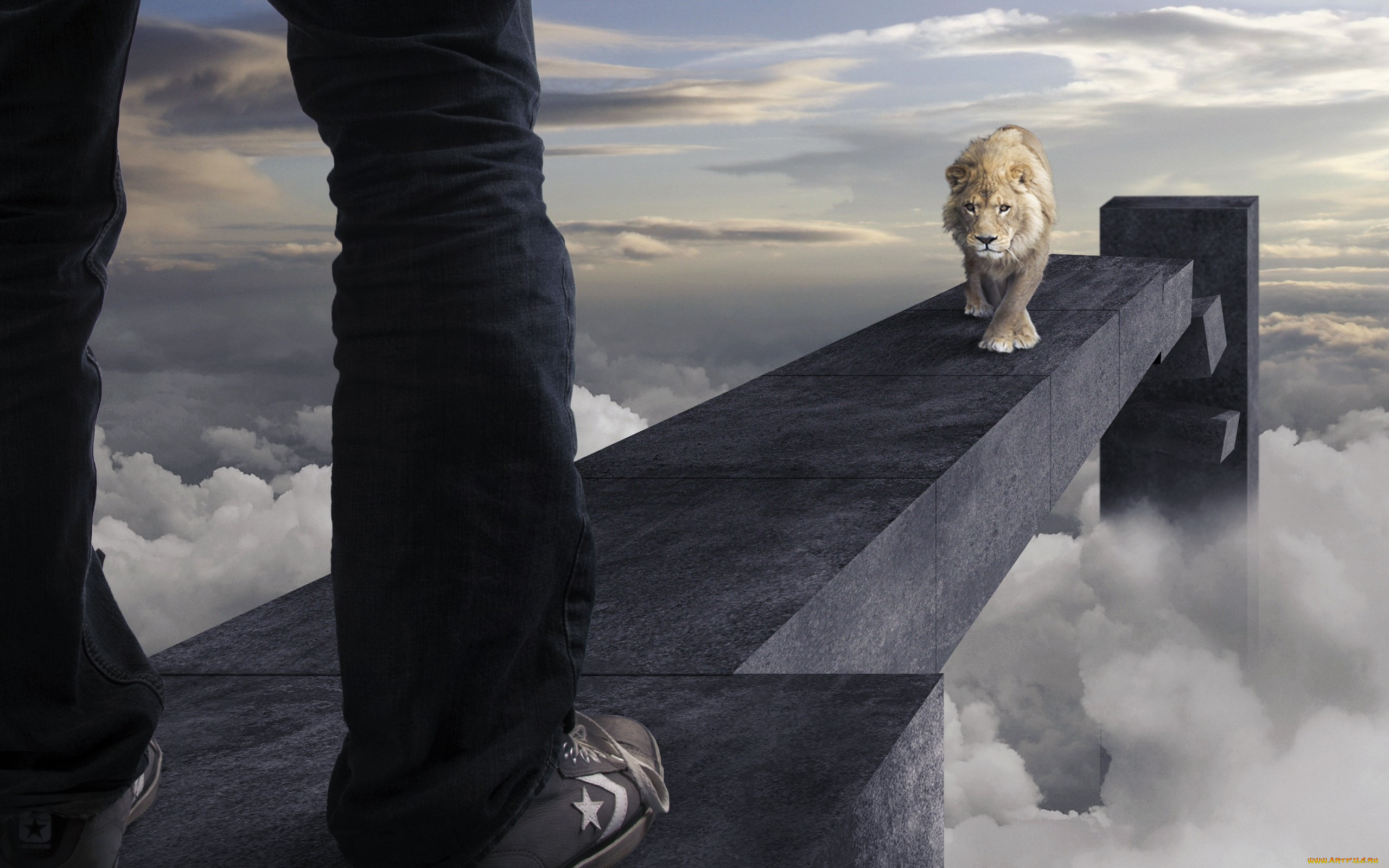 юмор, и, приколы, лев, зверь, человек