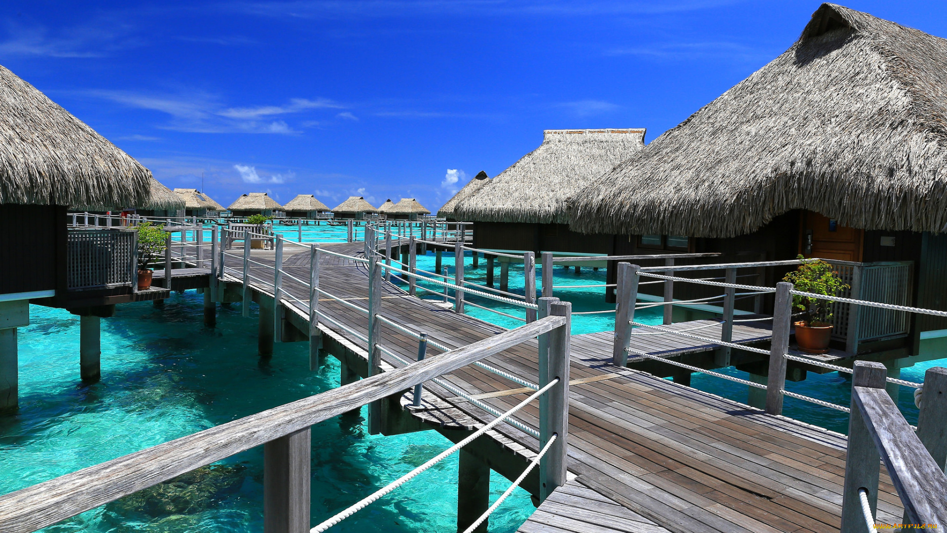 moorea, природа, тропики, курорт