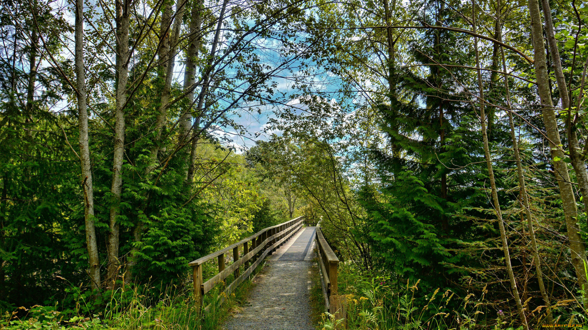 природа, дороги, тракт