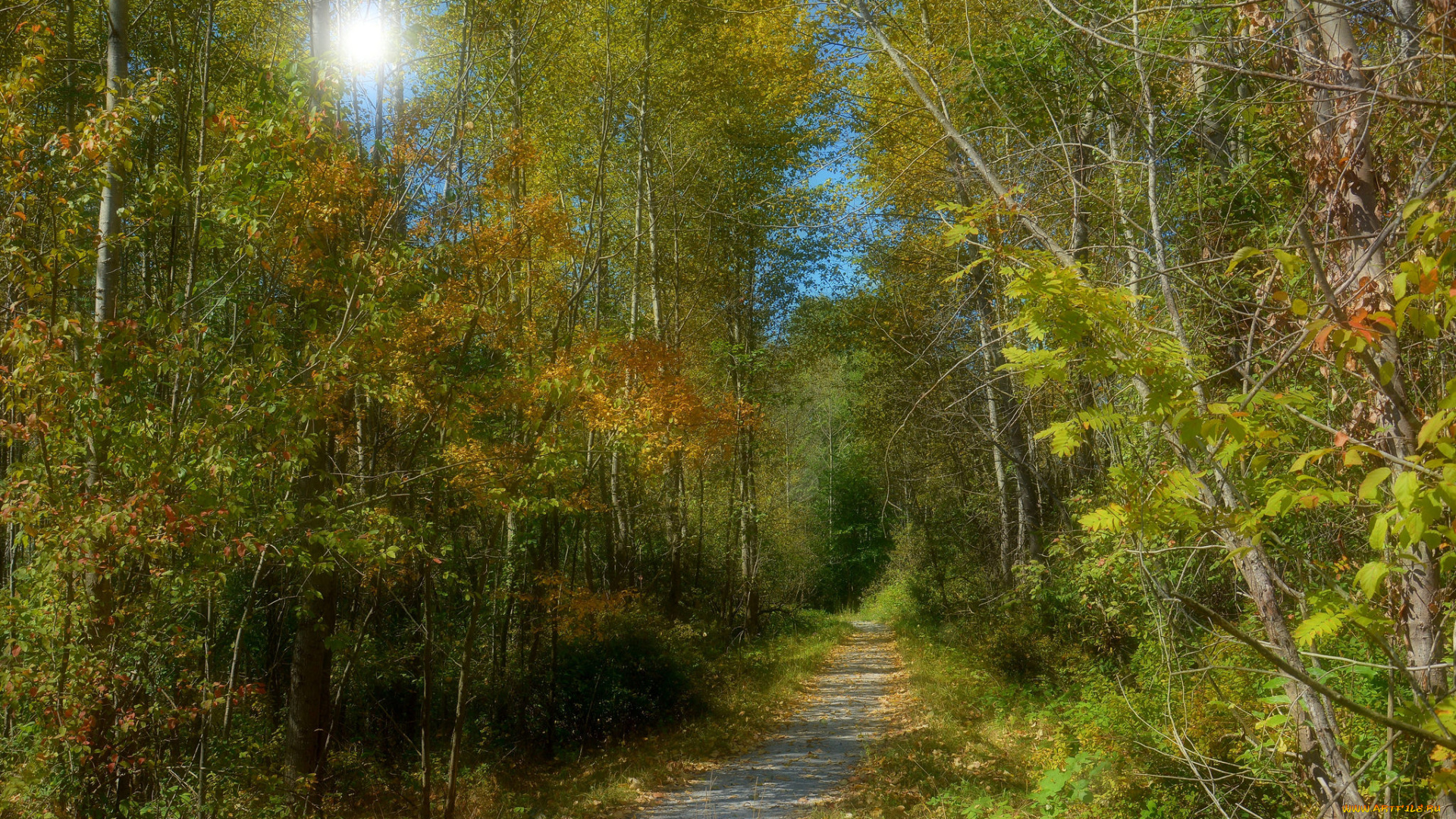 природа, дороги, тракт