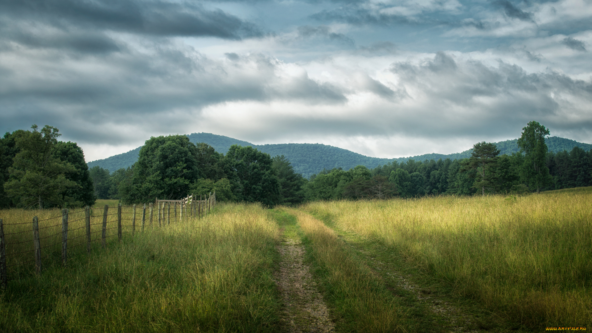 природа, дороги, тракт