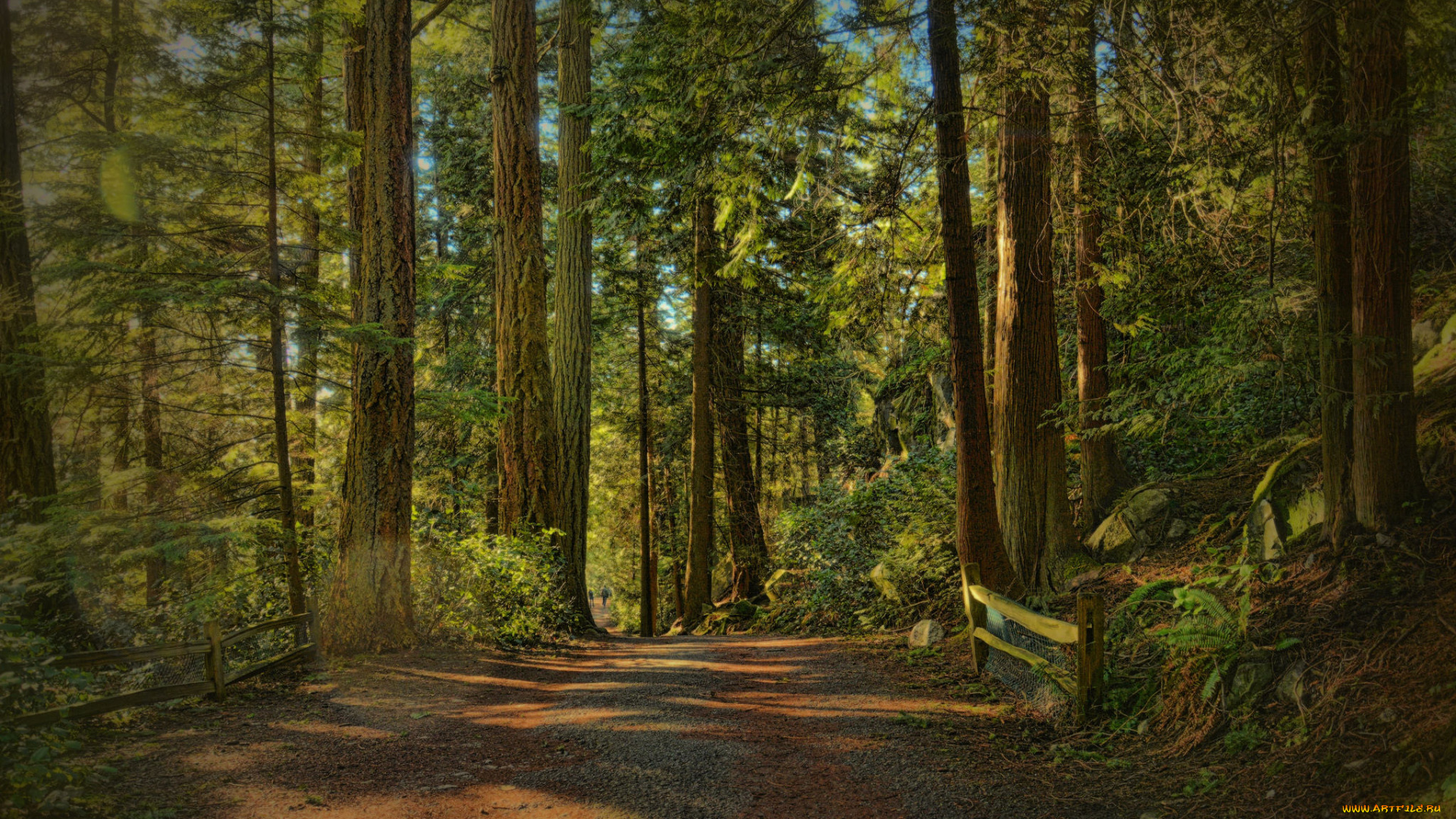 природа, дороги, тракт