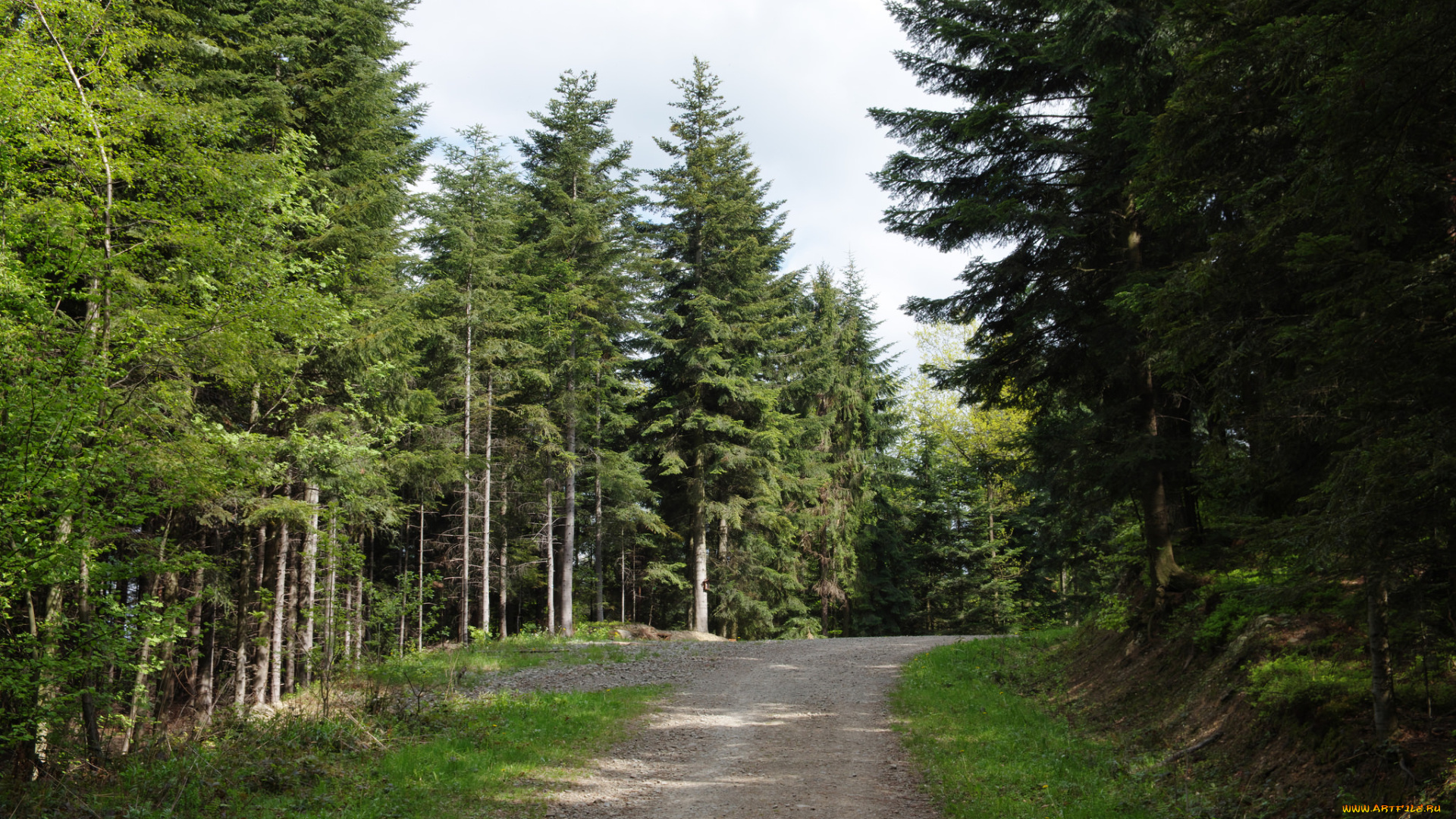 природа, дороги, тракт