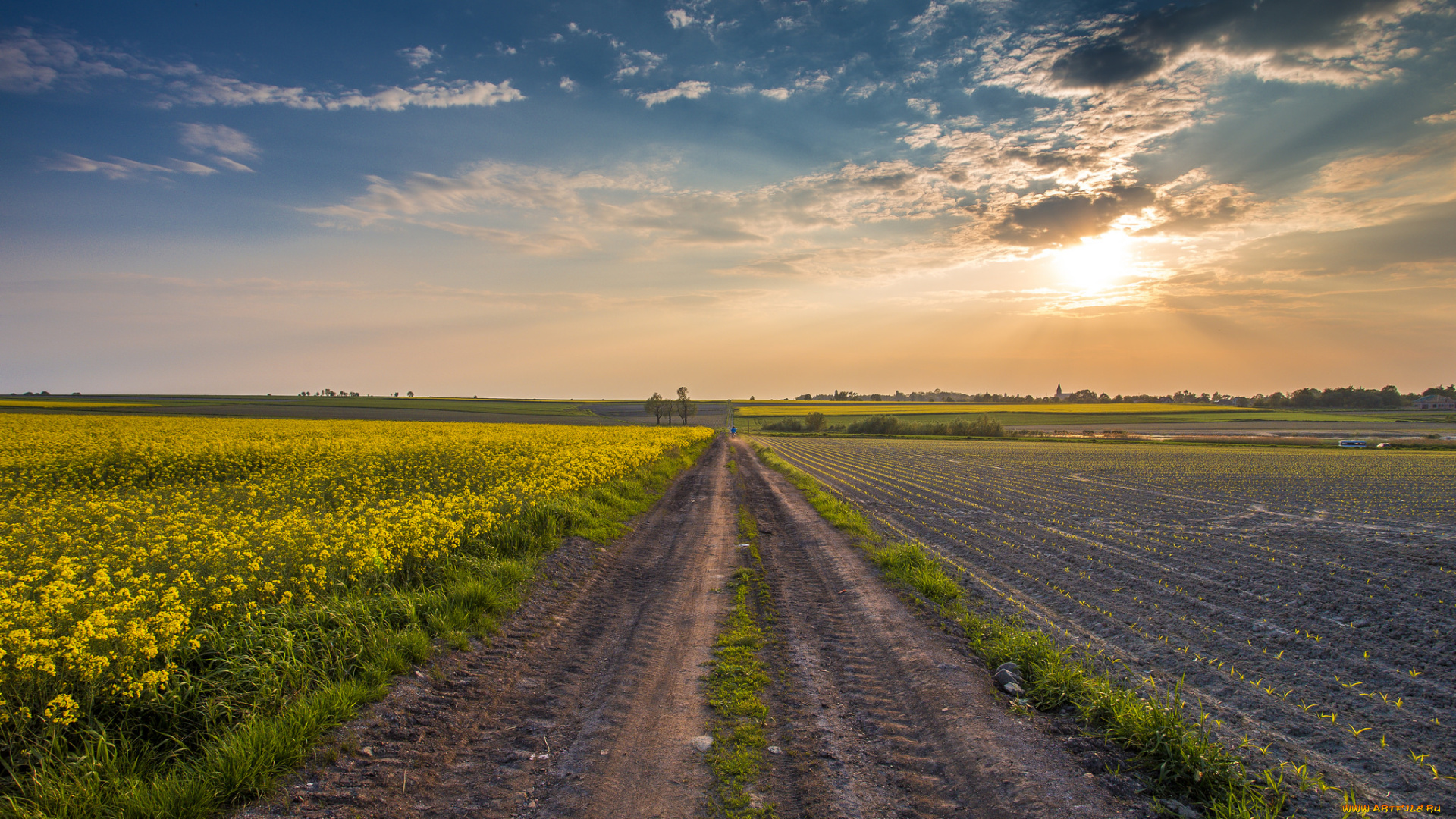 природа, дороги, тракт