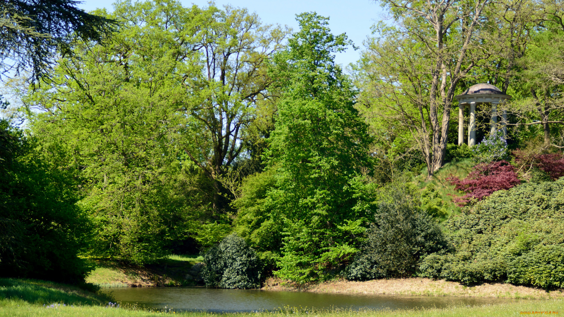 природа, парк