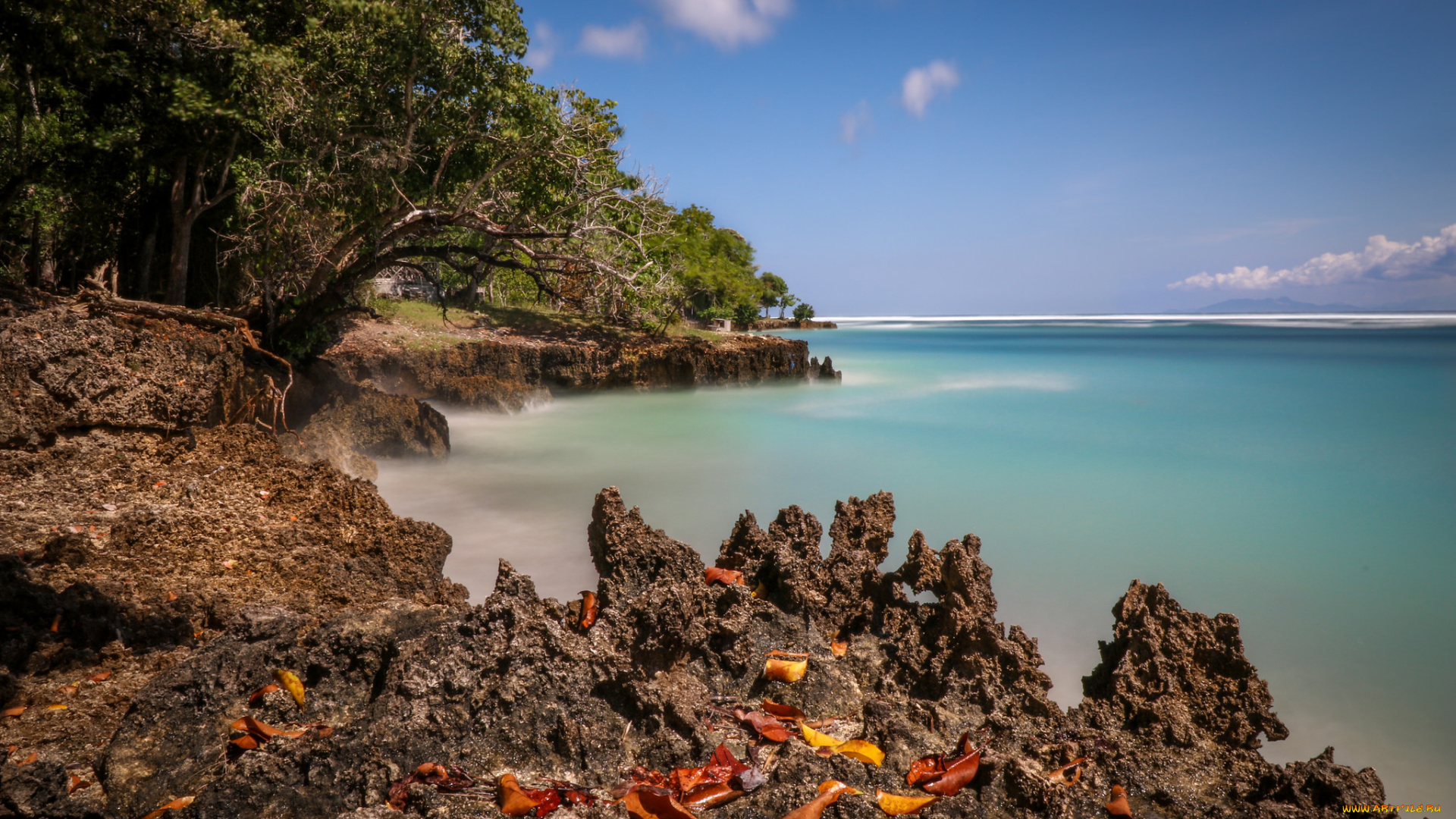 природа, побережье, берег, море