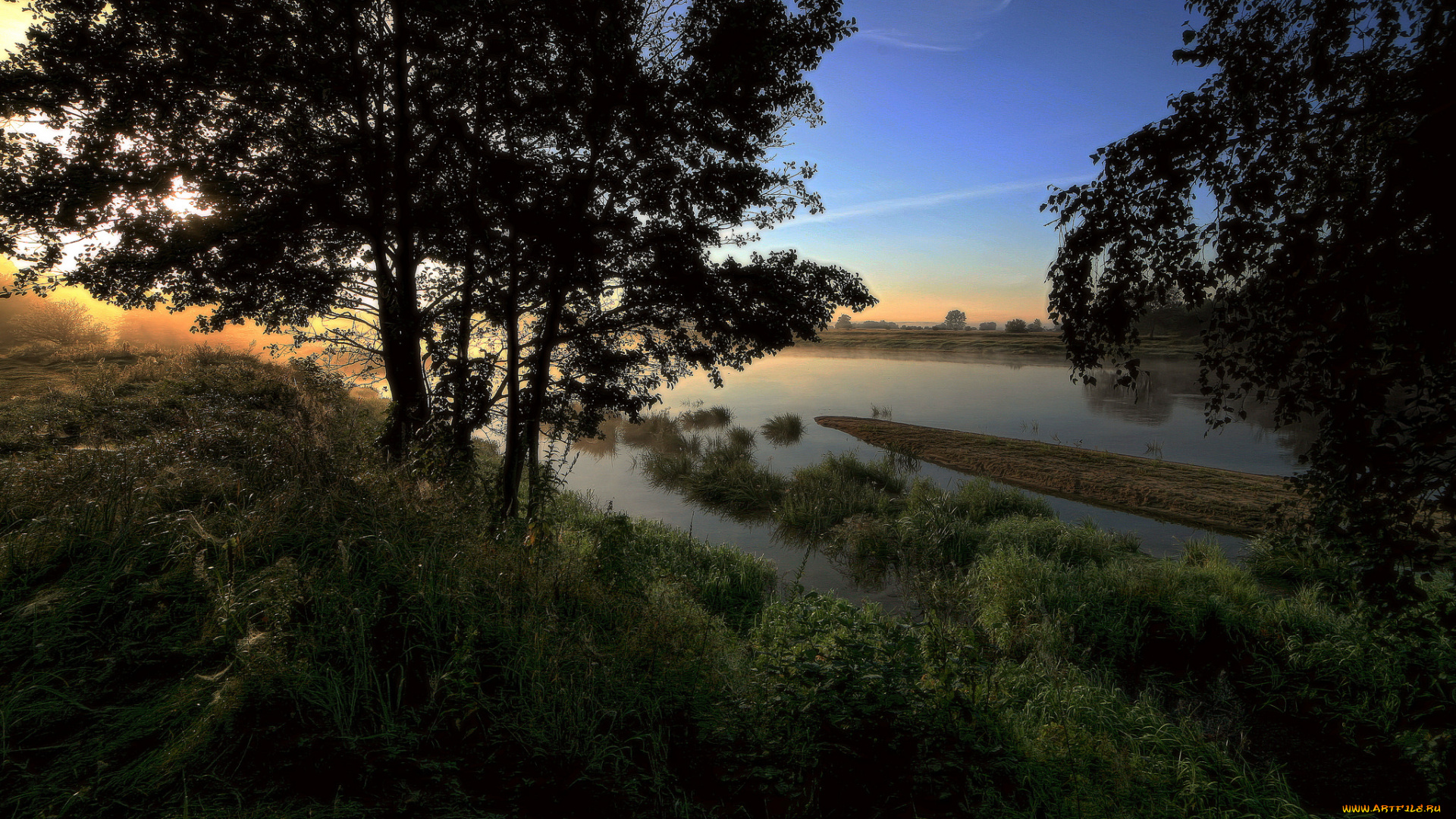 природа, реки, озера, река, лес