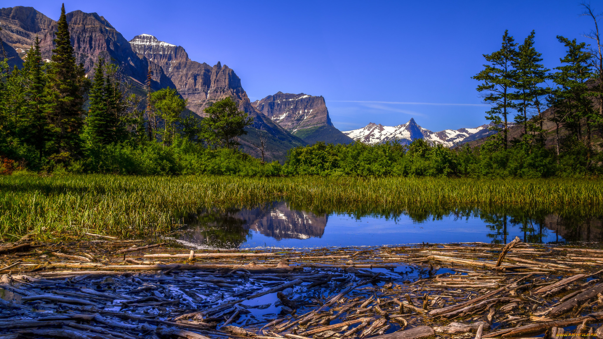 природа, реки, озера, река, лес