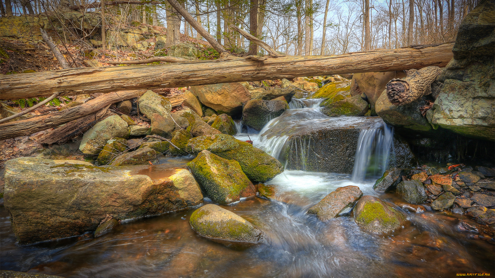 природа, реки, озера, trees, rocks, water