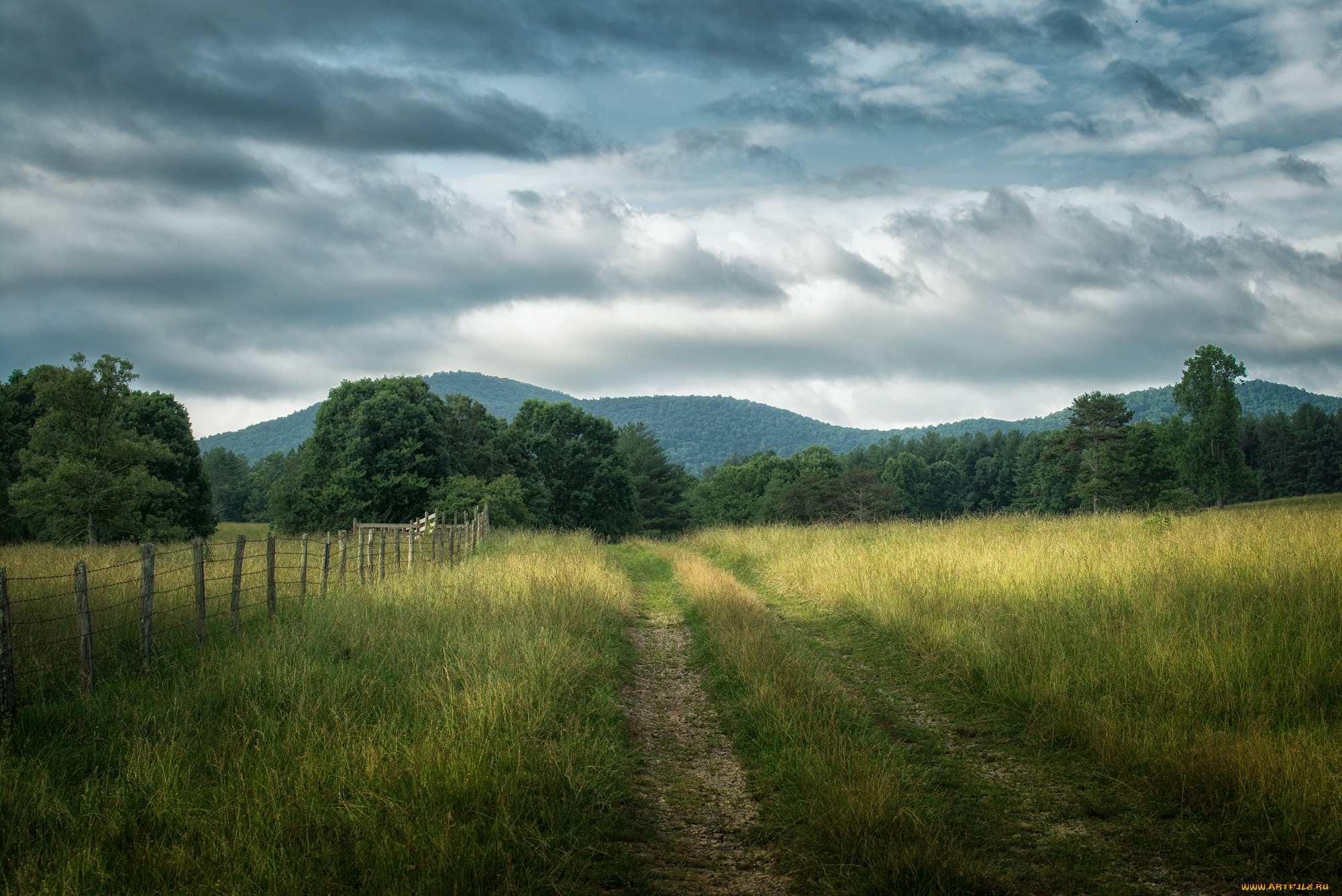 природа, дороги, тракт