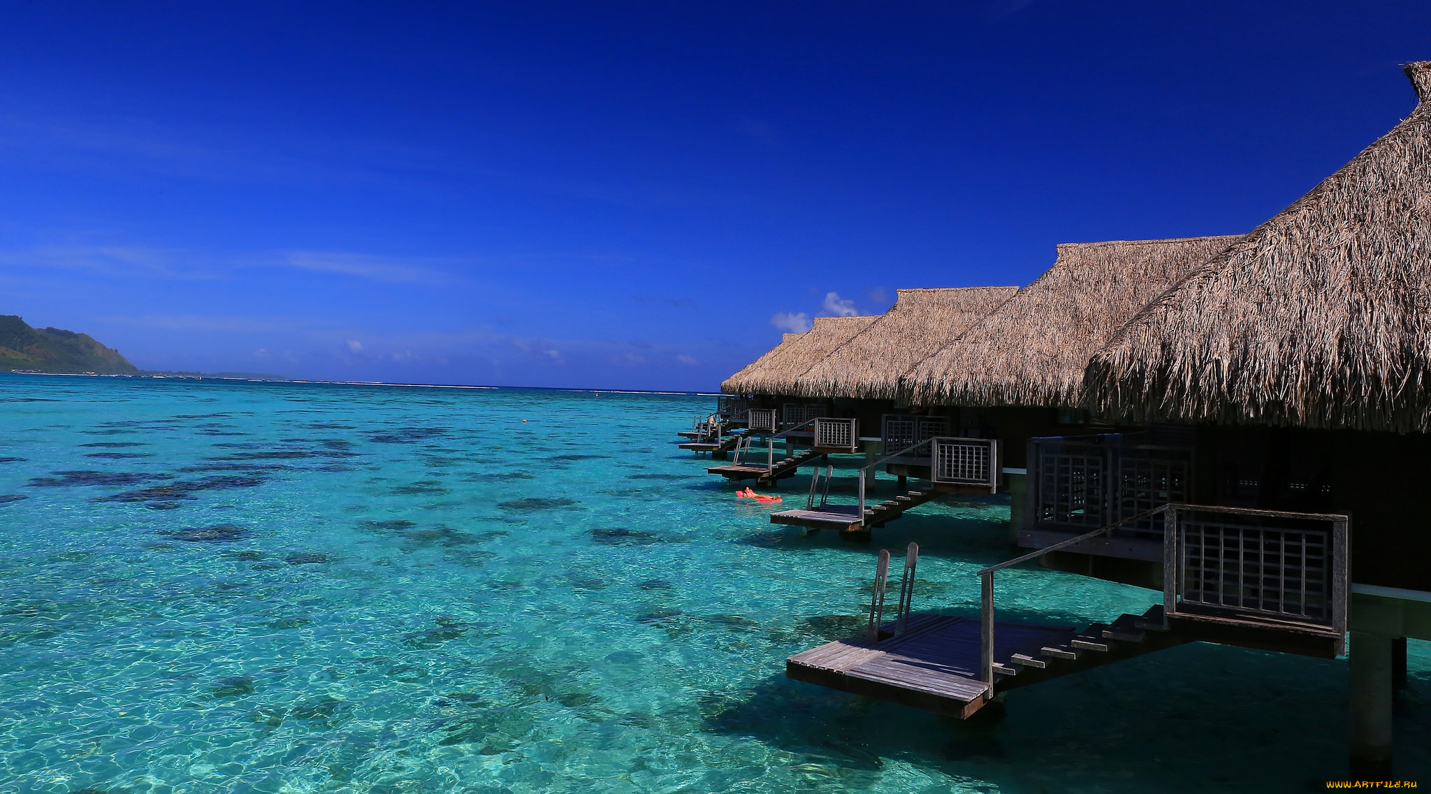 moorea, природа, тропики, курорт