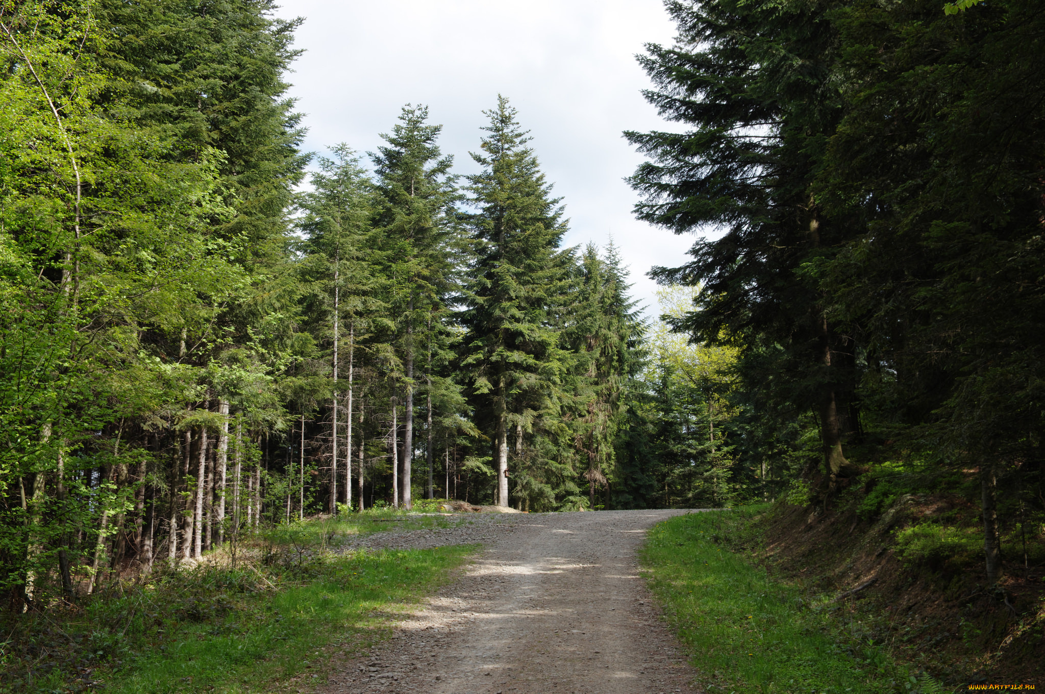 природа, дороги, тракт