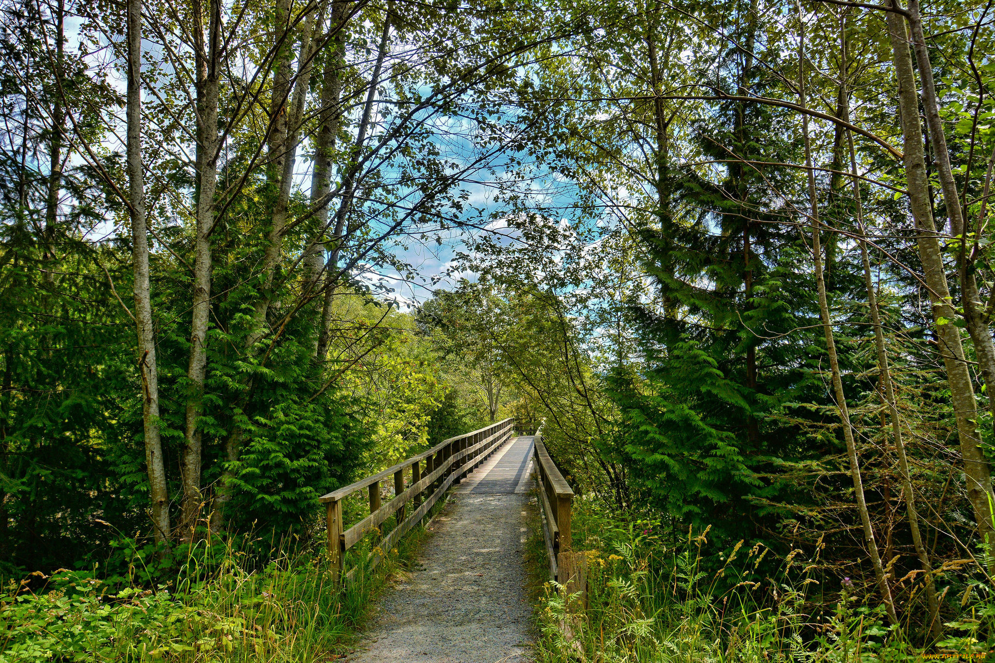 природа, дороги, тракт