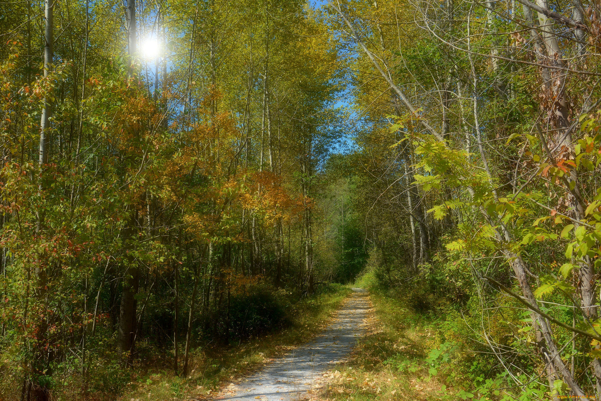 природа, дороги, тракт