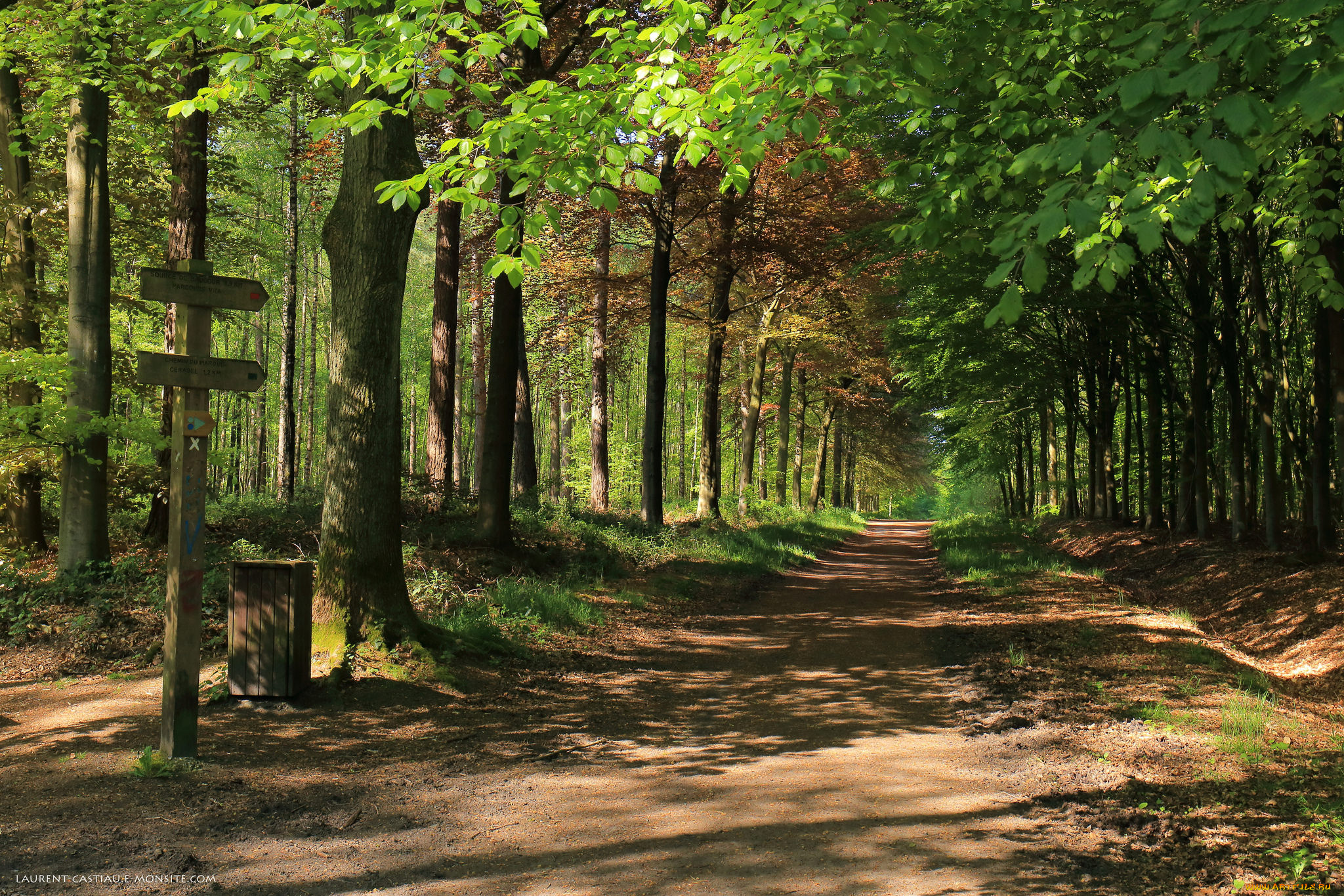 природа, дороги, тракт