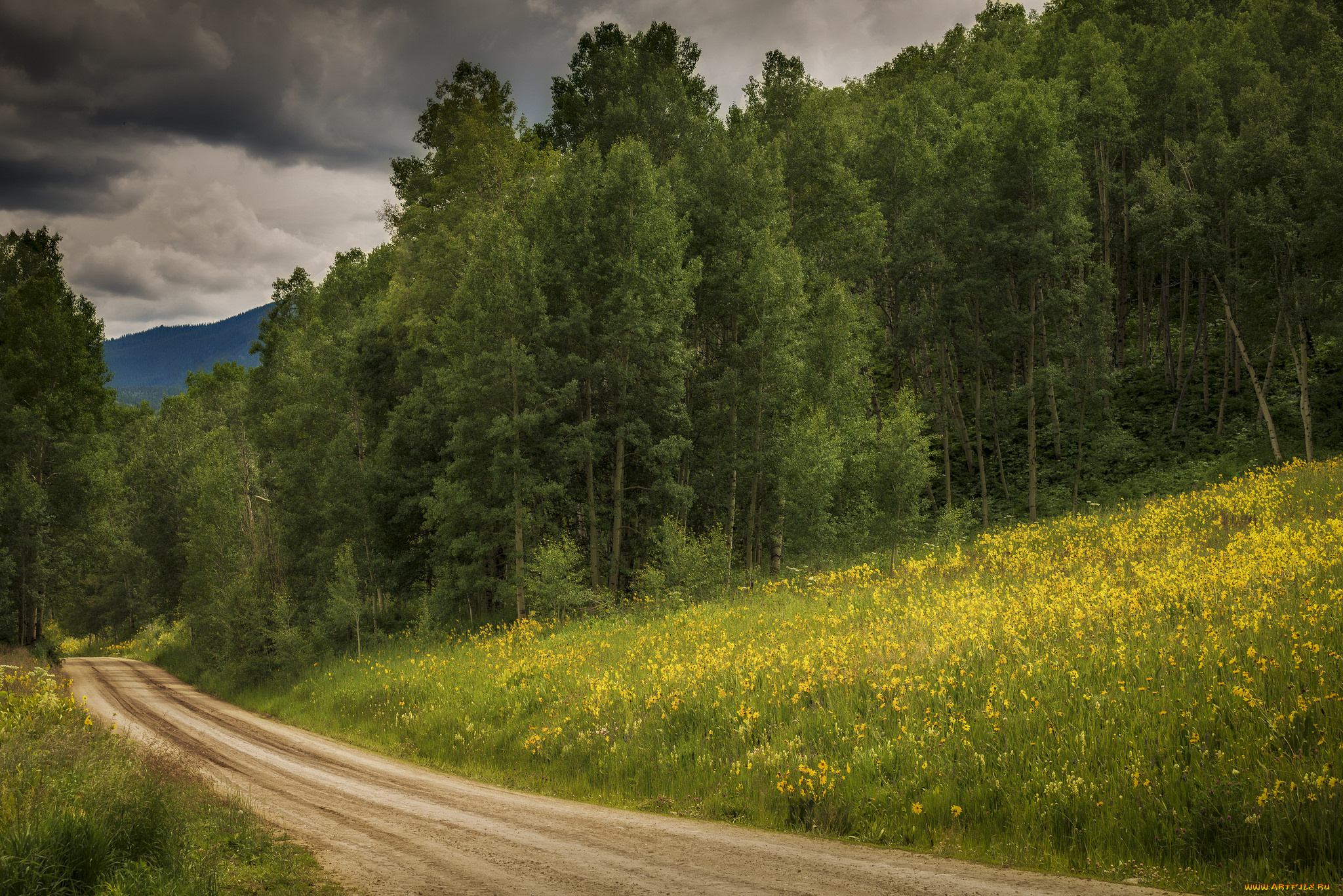 природа, дороги, тракт