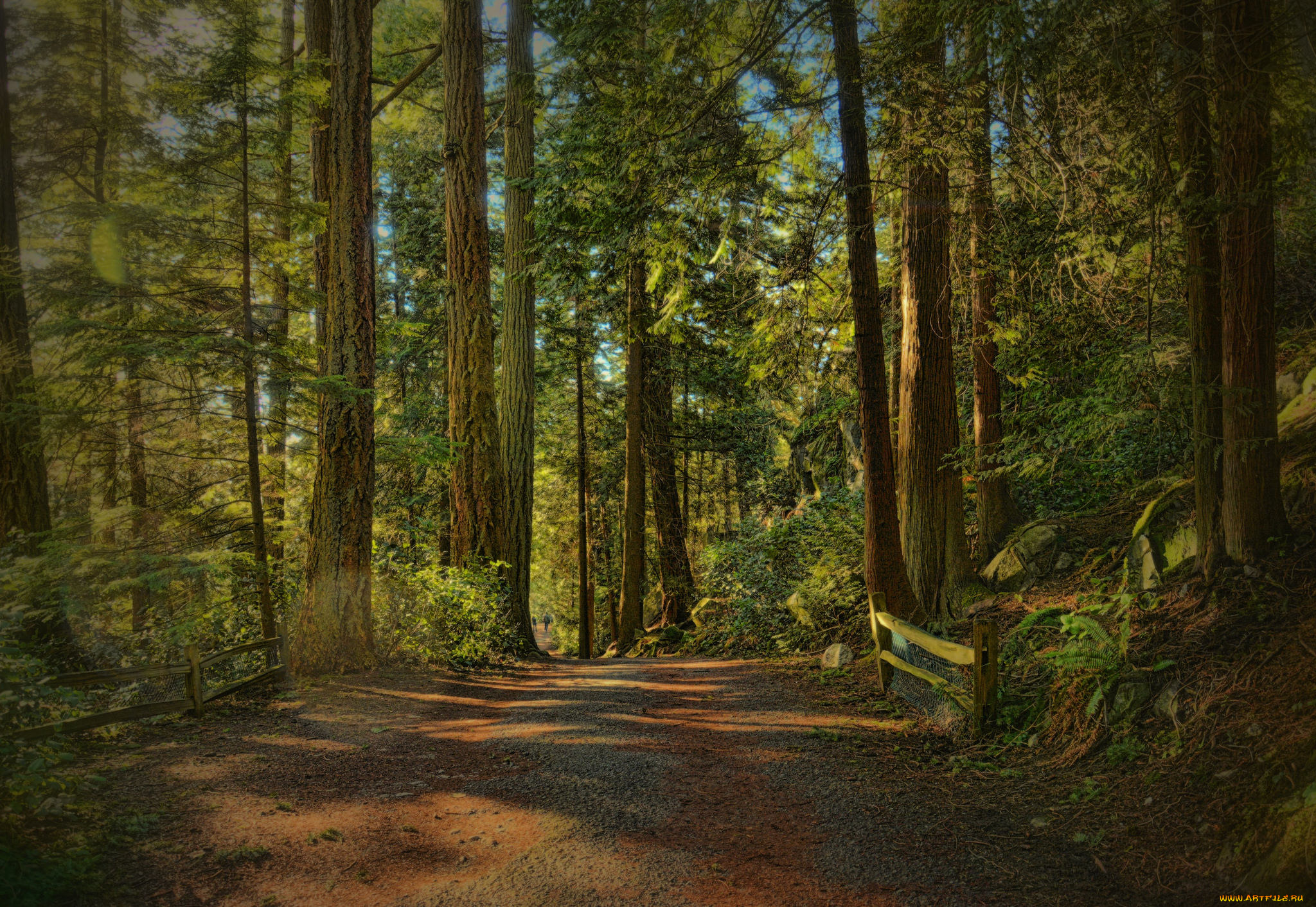 природа, дороги, тракт