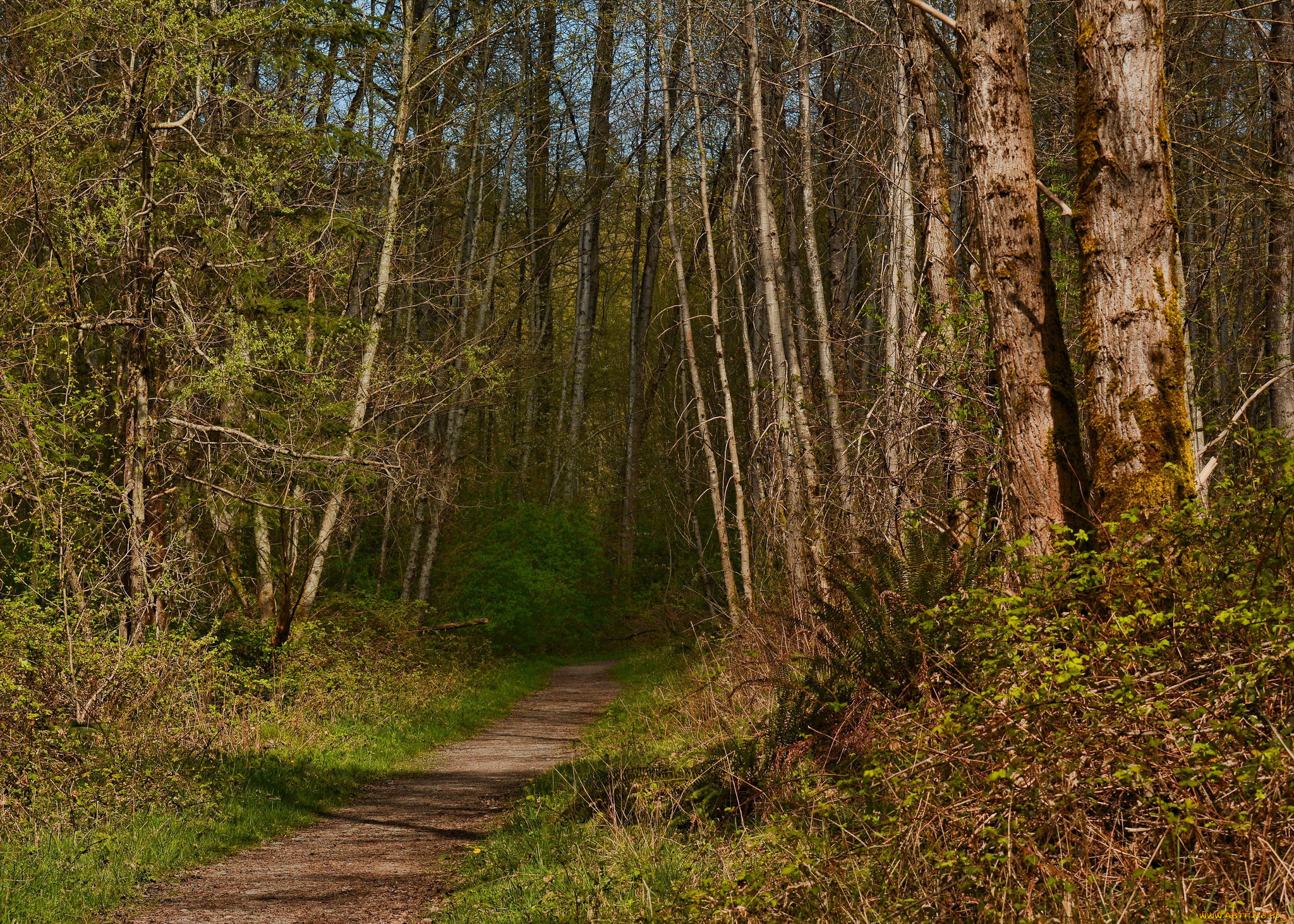 природа, дороги, тракт