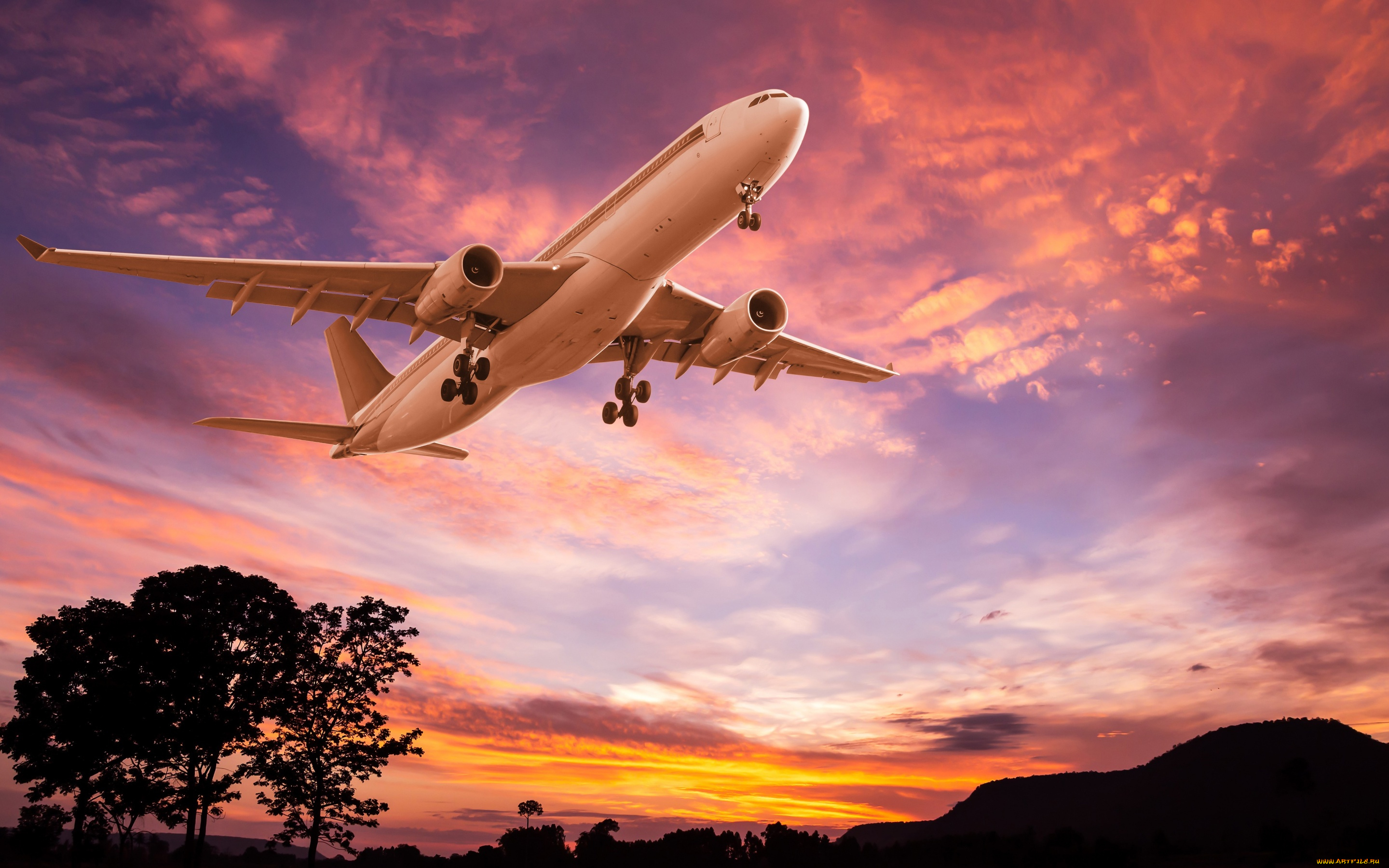 авиация, авиационный, пейзаж, креатив, пассажирский, деревья, самолет, полет, небо, пейзаж, силуэты, зарево, взлет