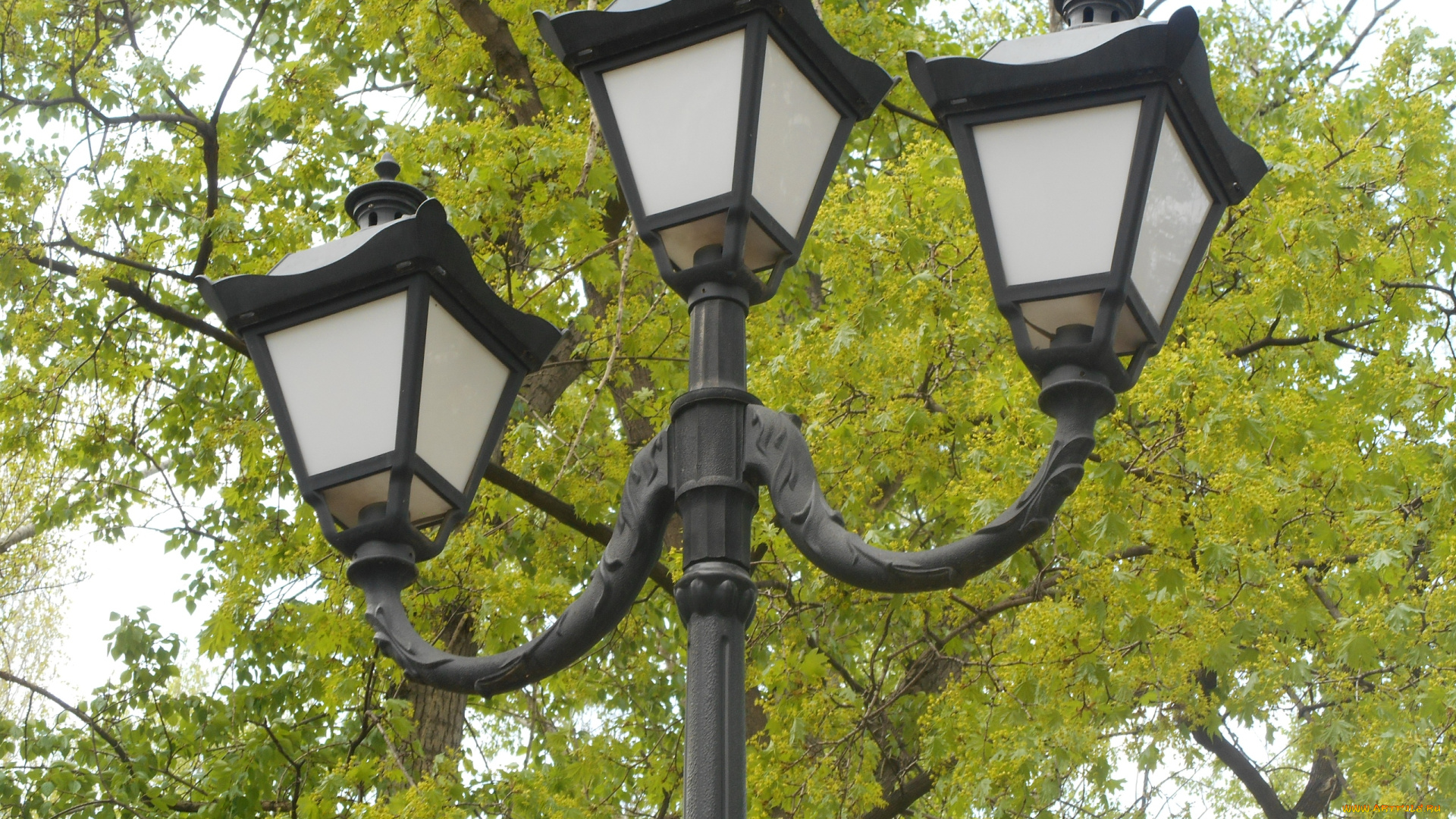 фонарь, города, -, другое, город, зимний, город, городское, освещение, светильник, городской, фонарь, город, зимой