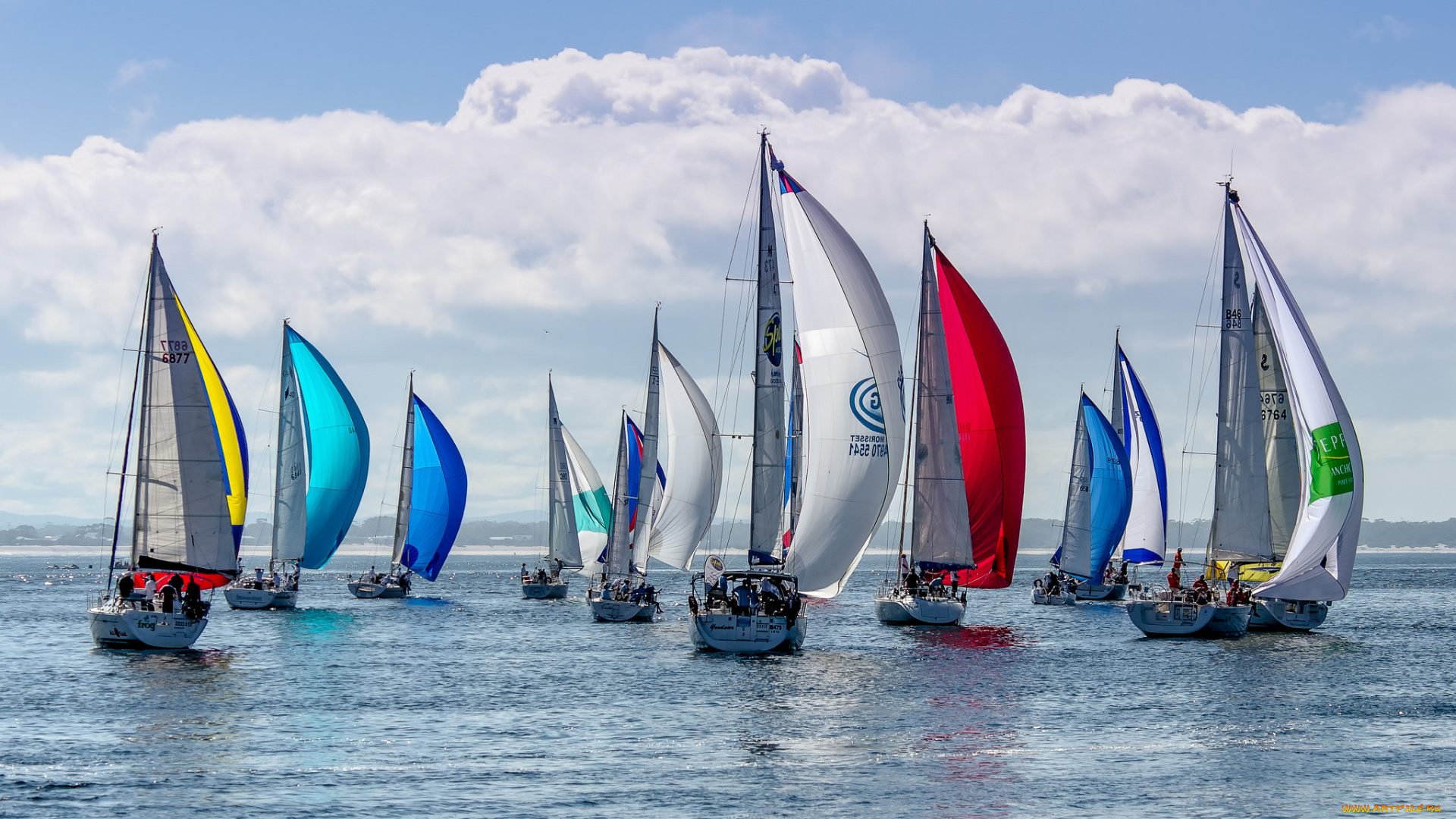 корабли, Яхты, паруса, мачты