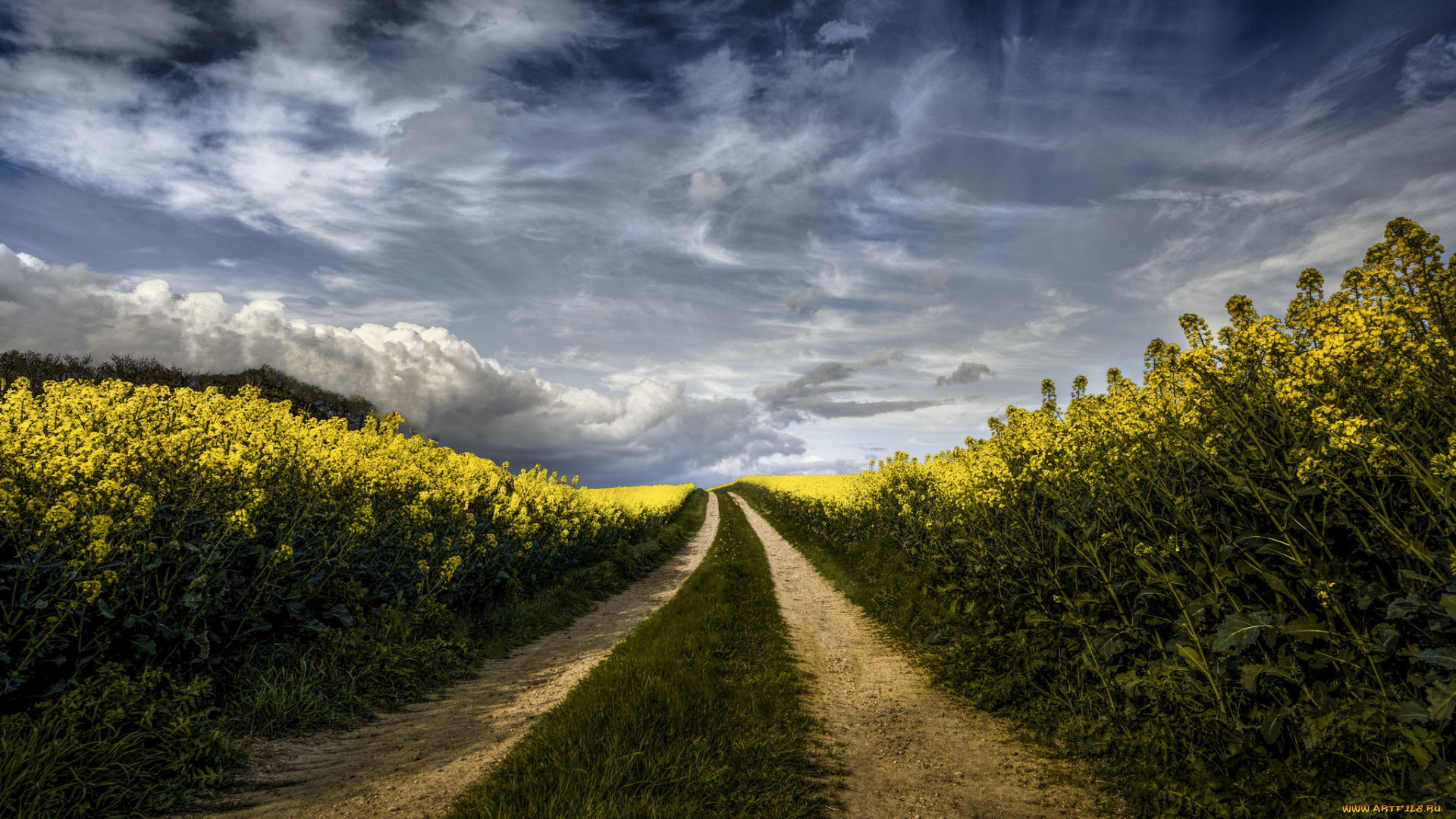 природа, дороги, простор