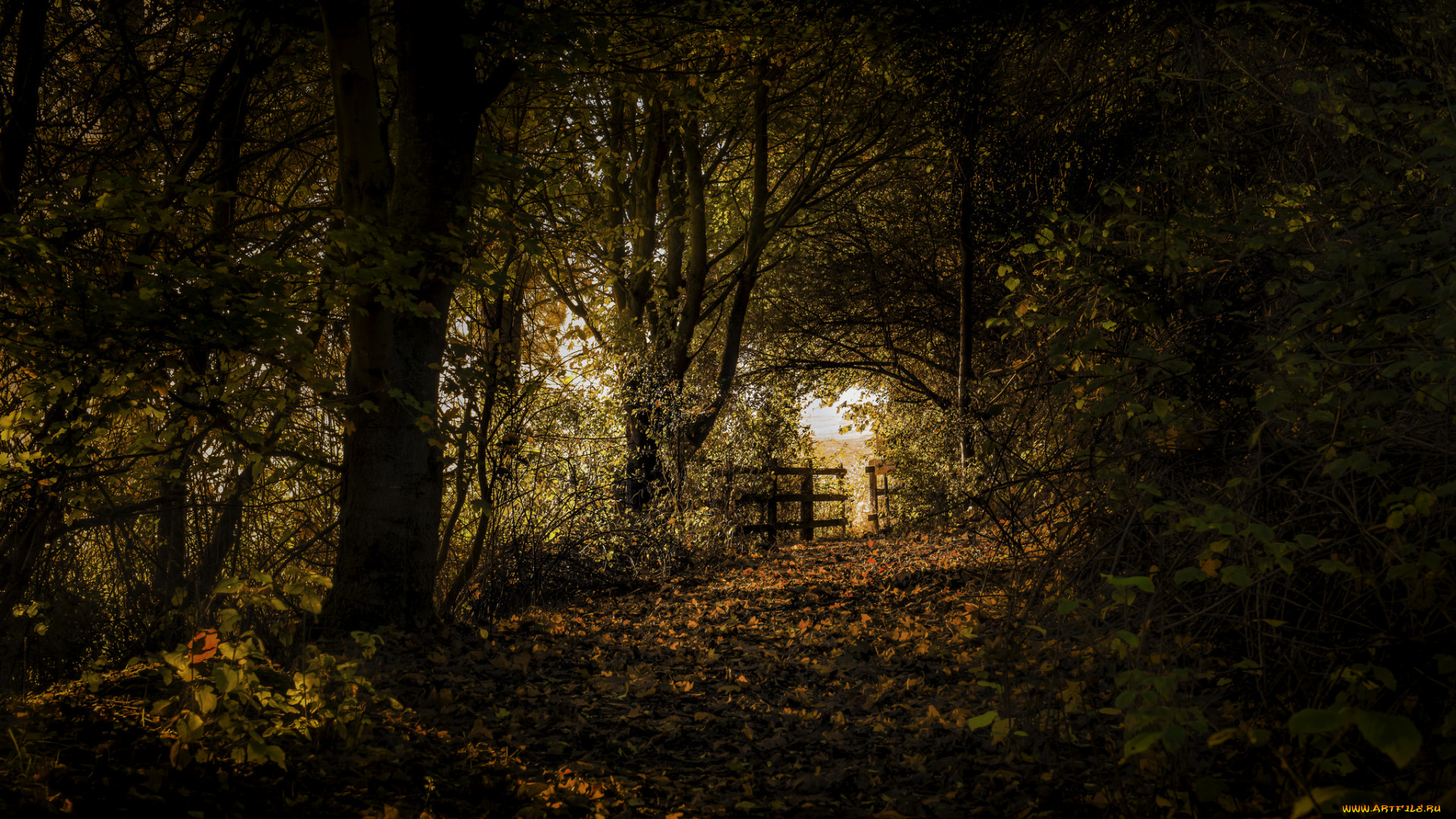 природа, дороги, простор