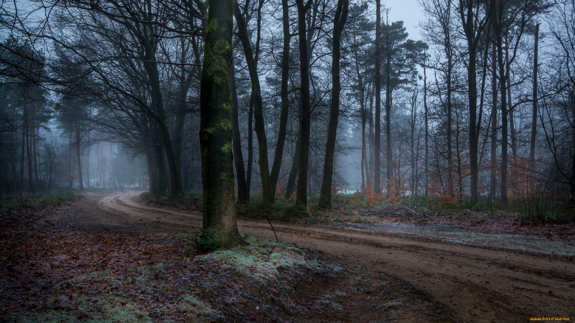 природа, дороги, простор