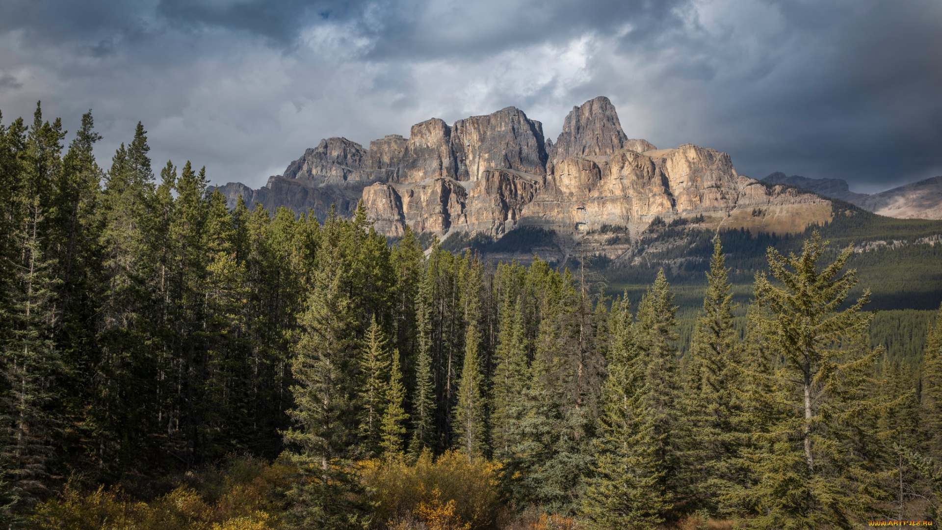 природа, горы, простор