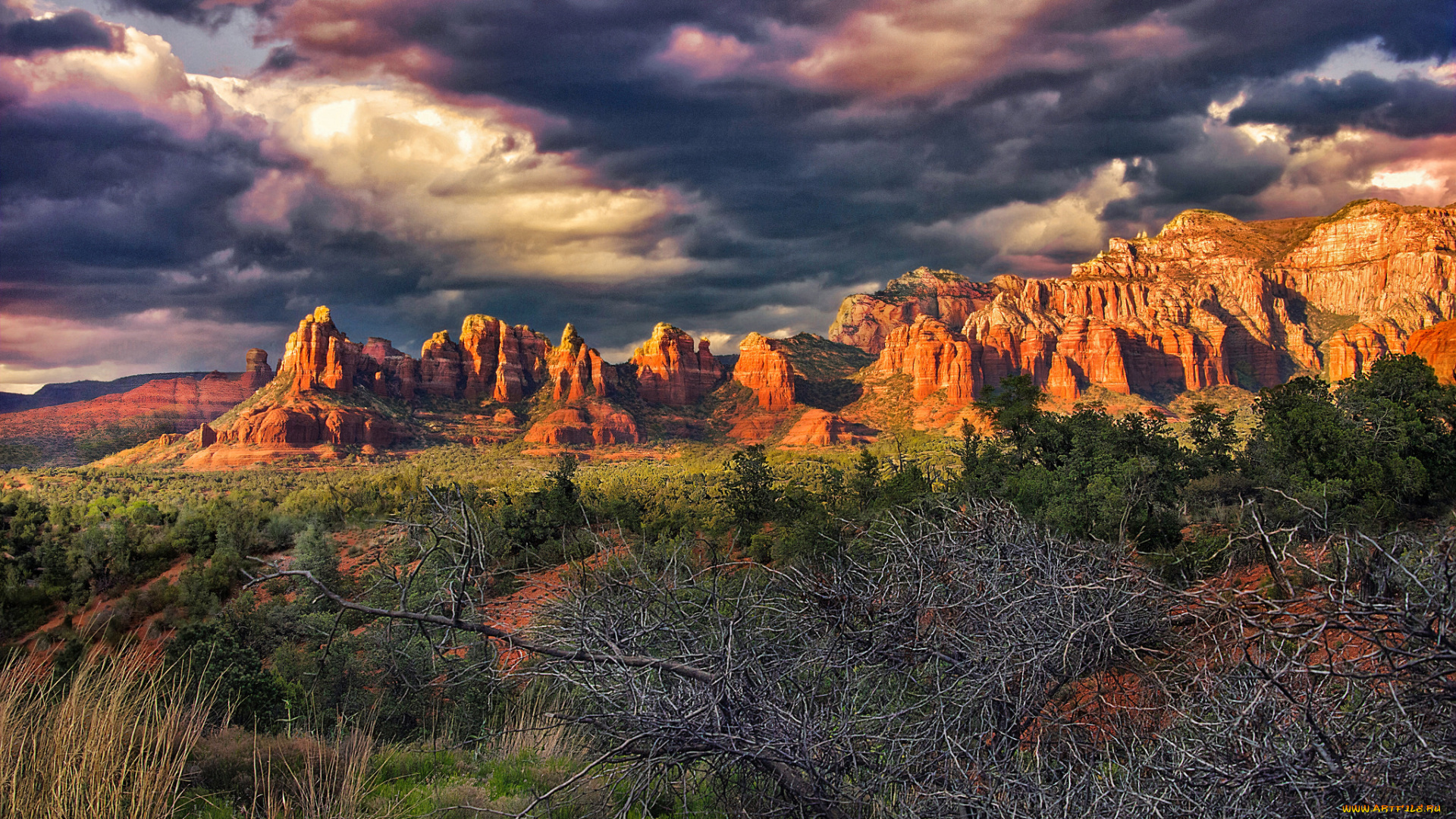 природа, горы, простор