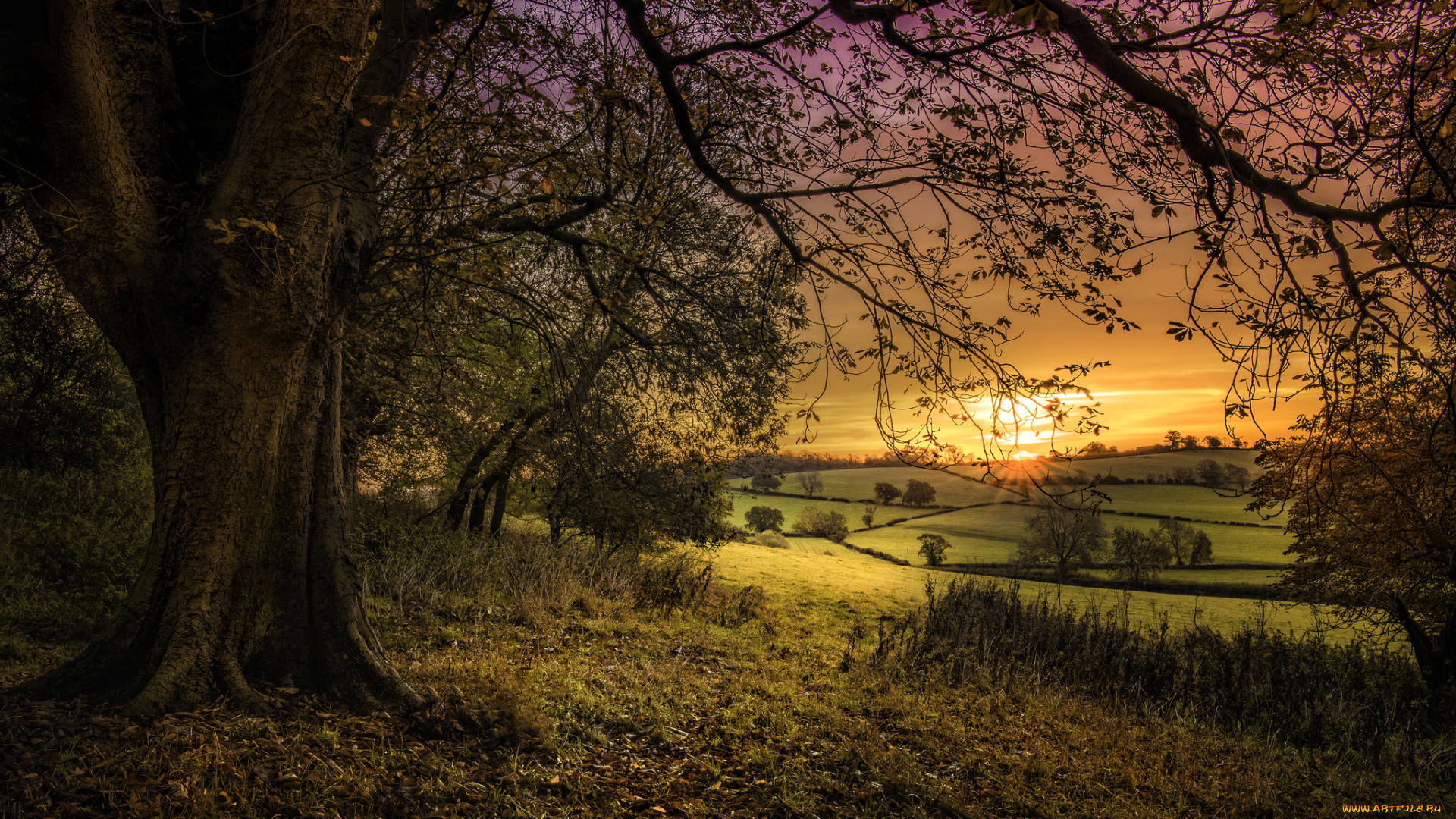 природа, пейзажи, простор