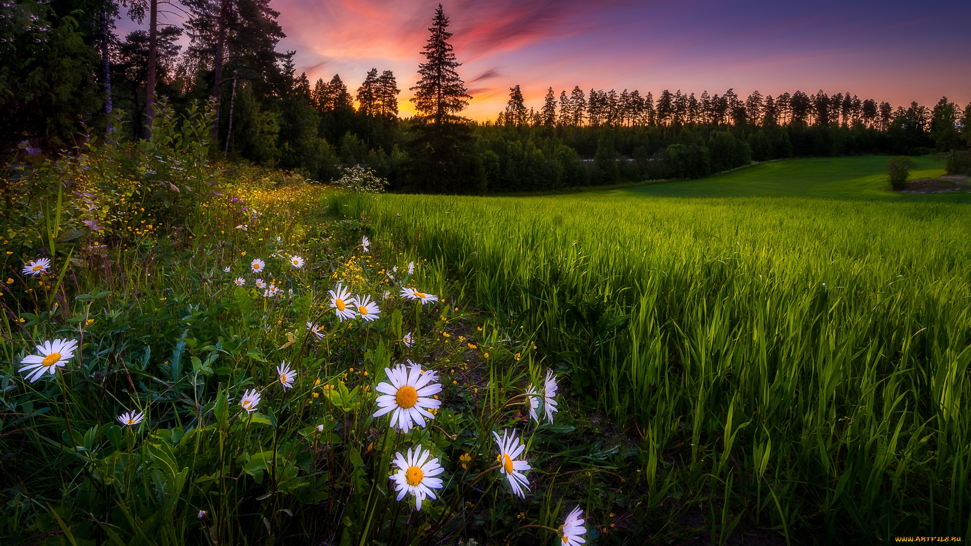 природа, пейзажи, простор