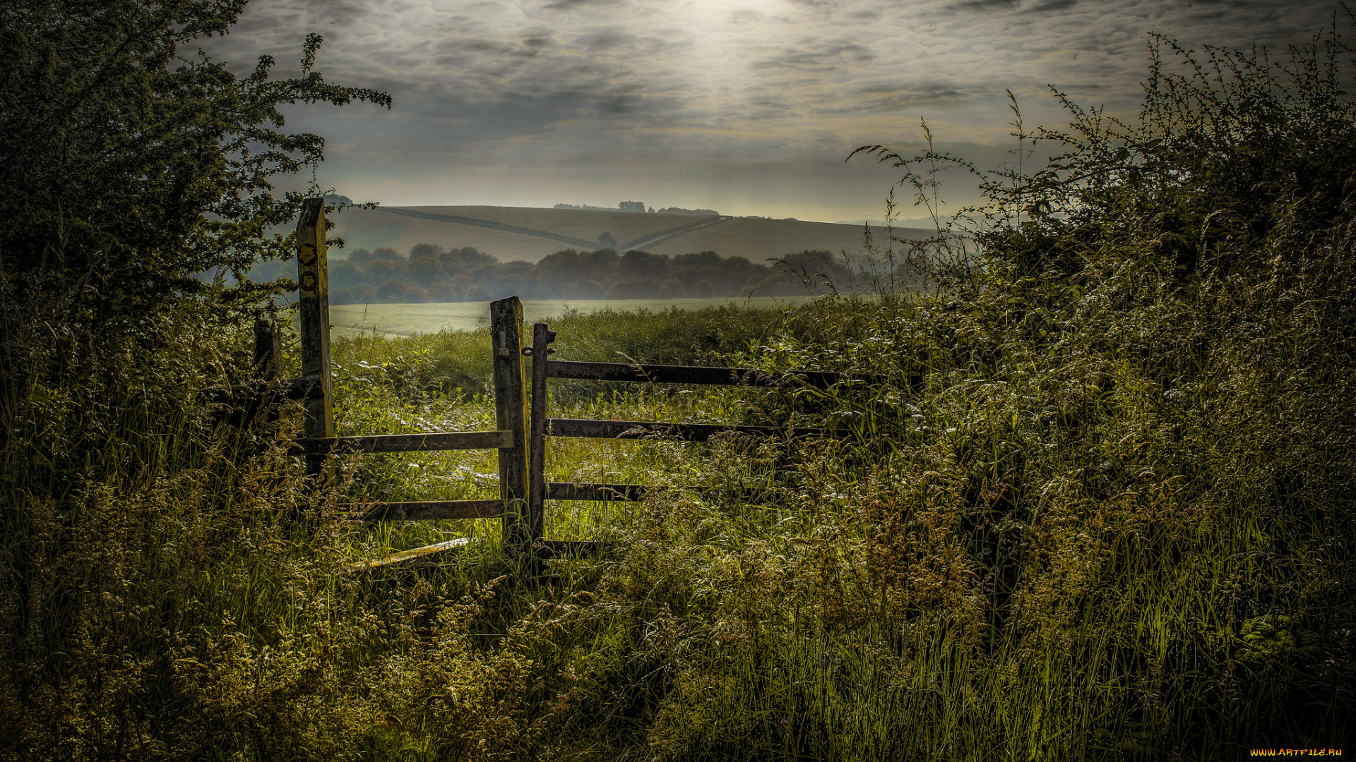 природа, пейзажи, простор