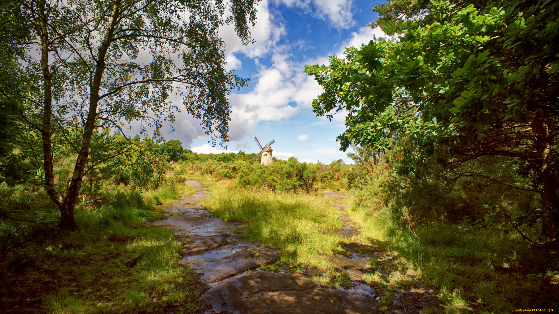 природа, пейзажи, простор