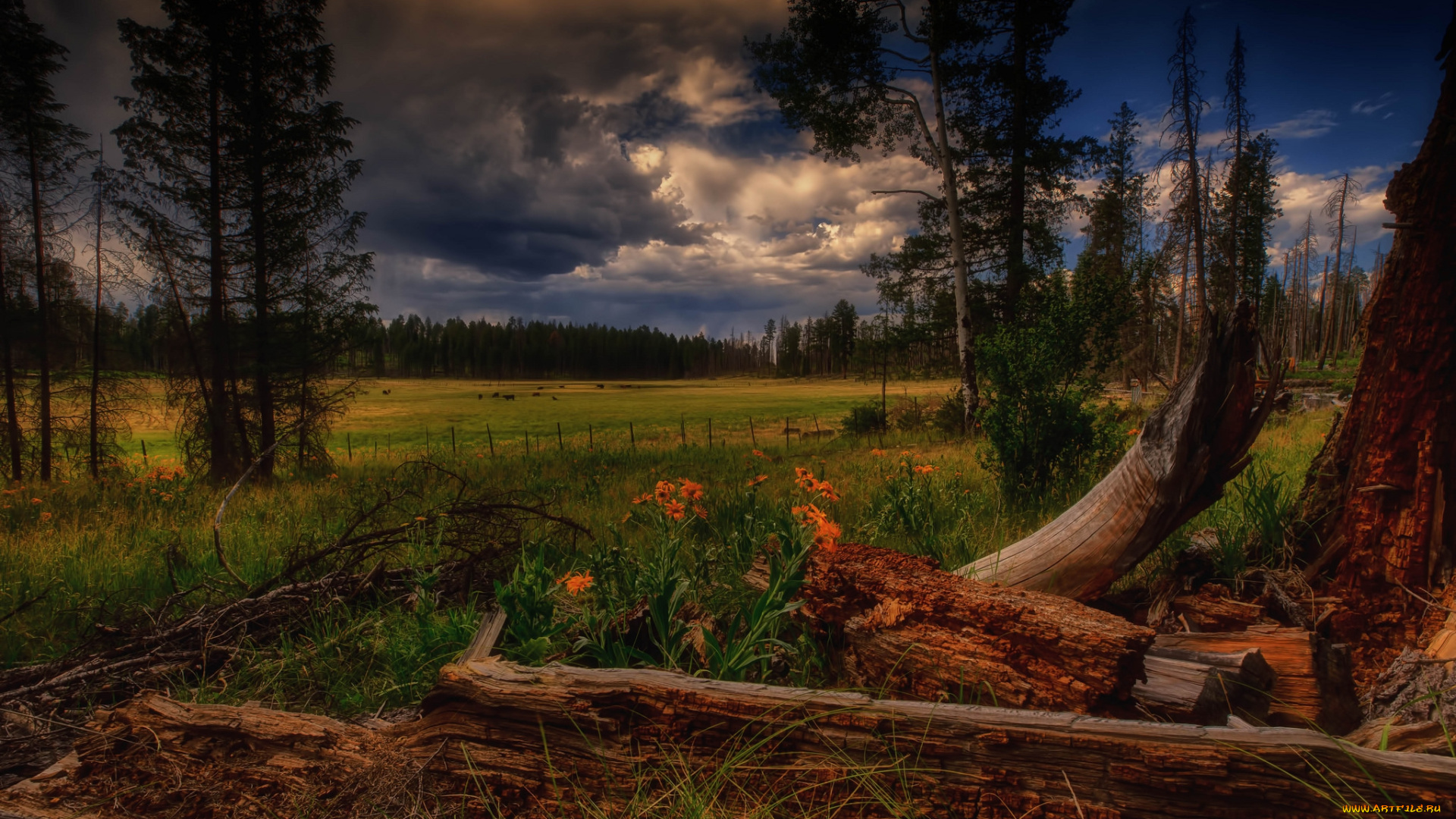 природа, пейзажи, простор