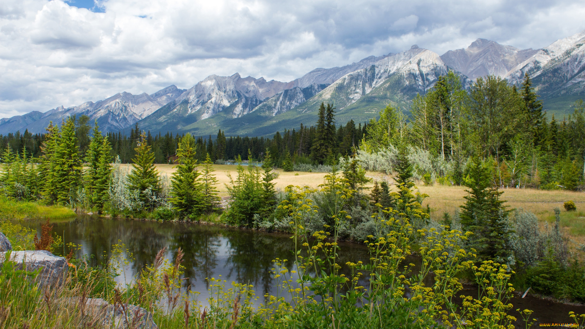 природа, реки, озера, простор