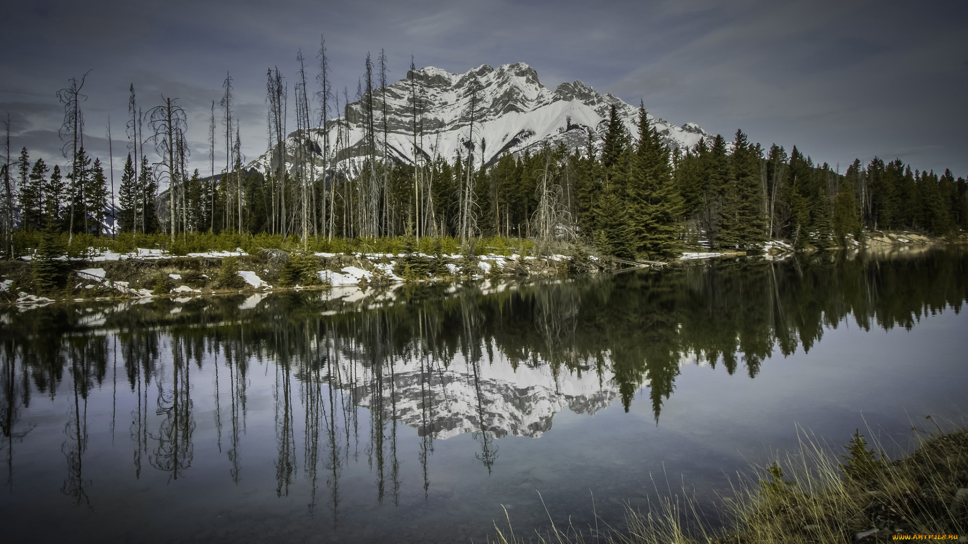 природа, реки, озера, простор