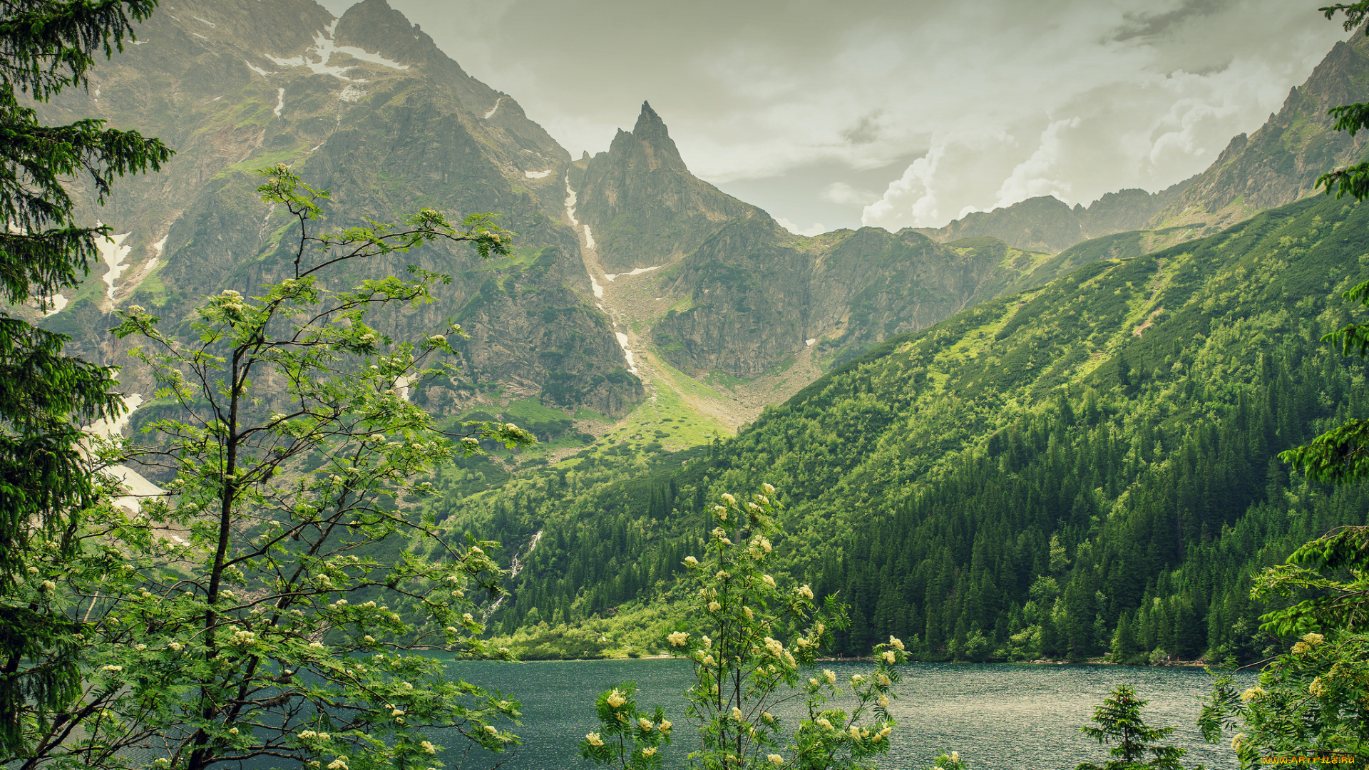 природа, реки, озера, простор