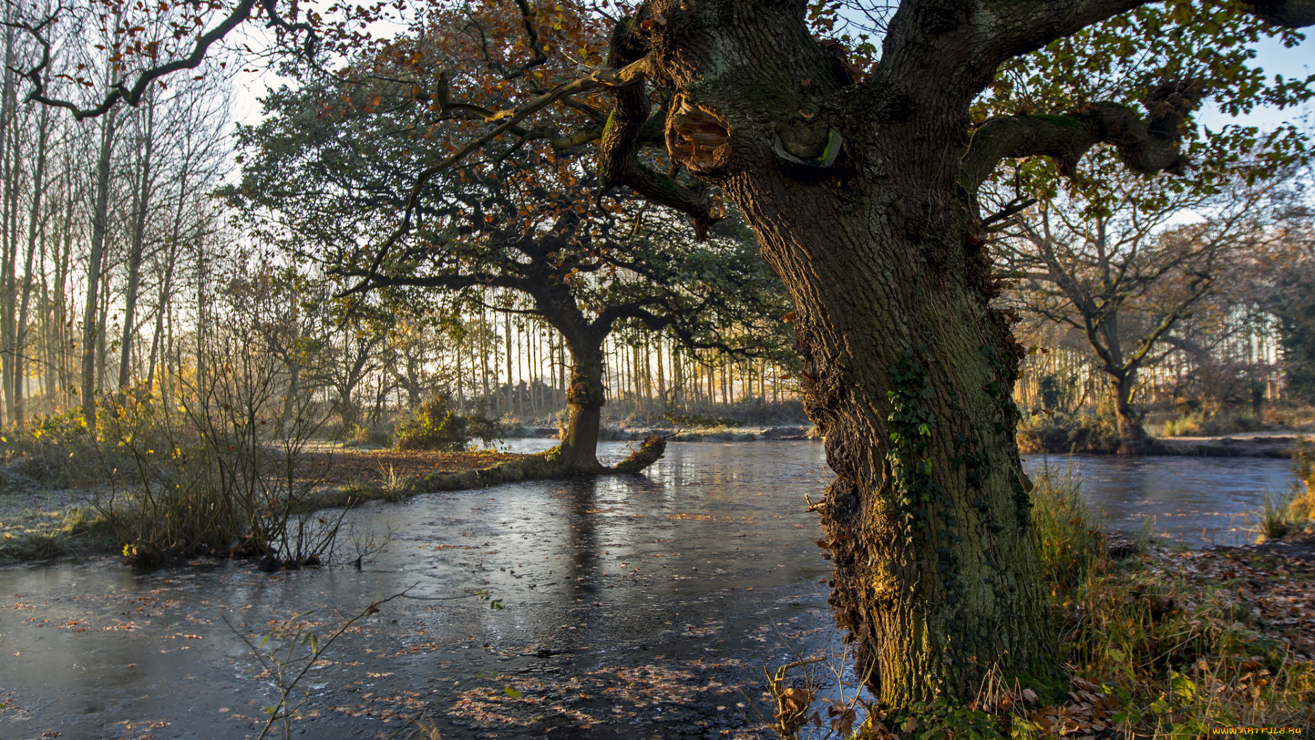 природа, реки, озера, простор